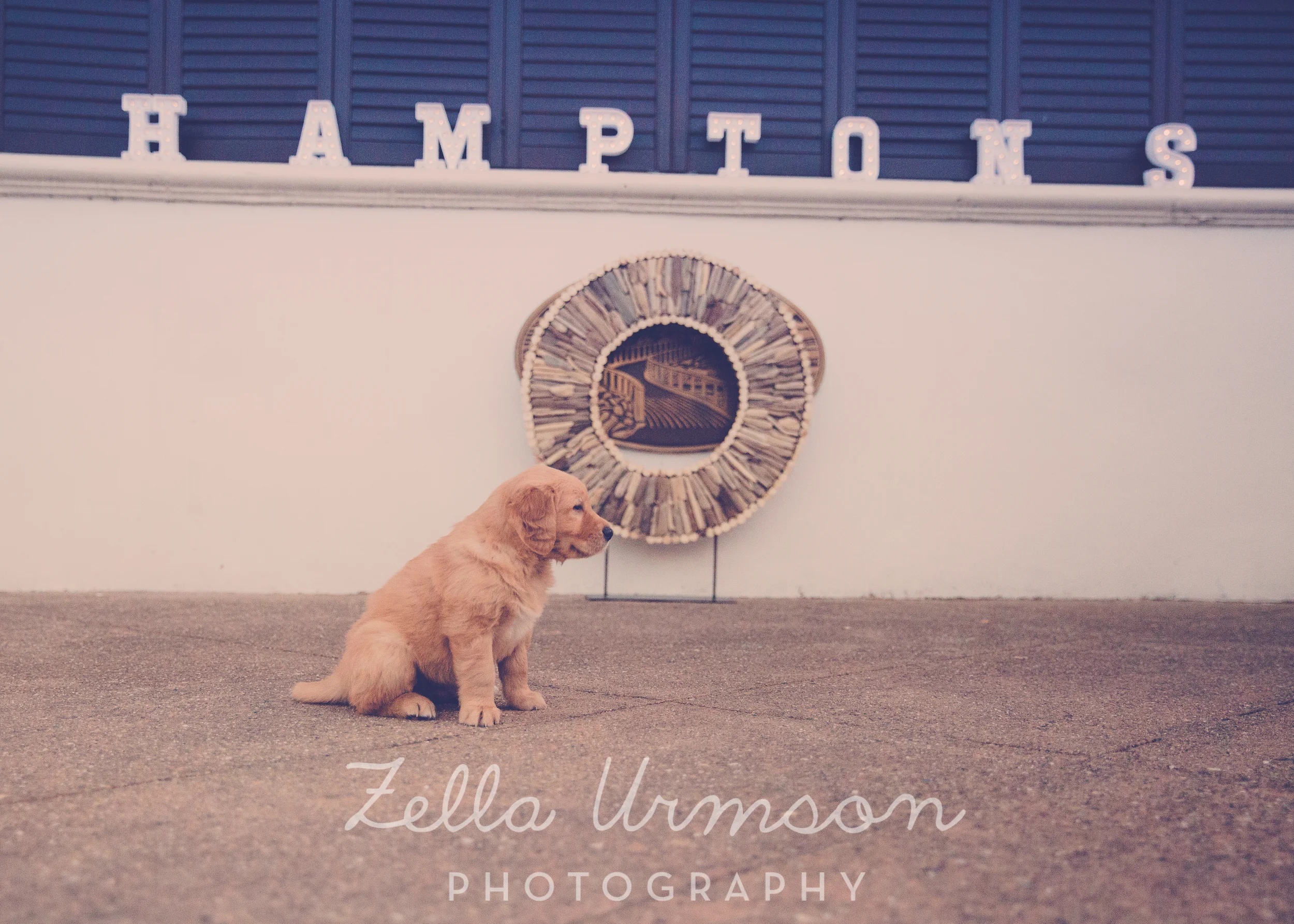 VG Auction to POST-29.JPG