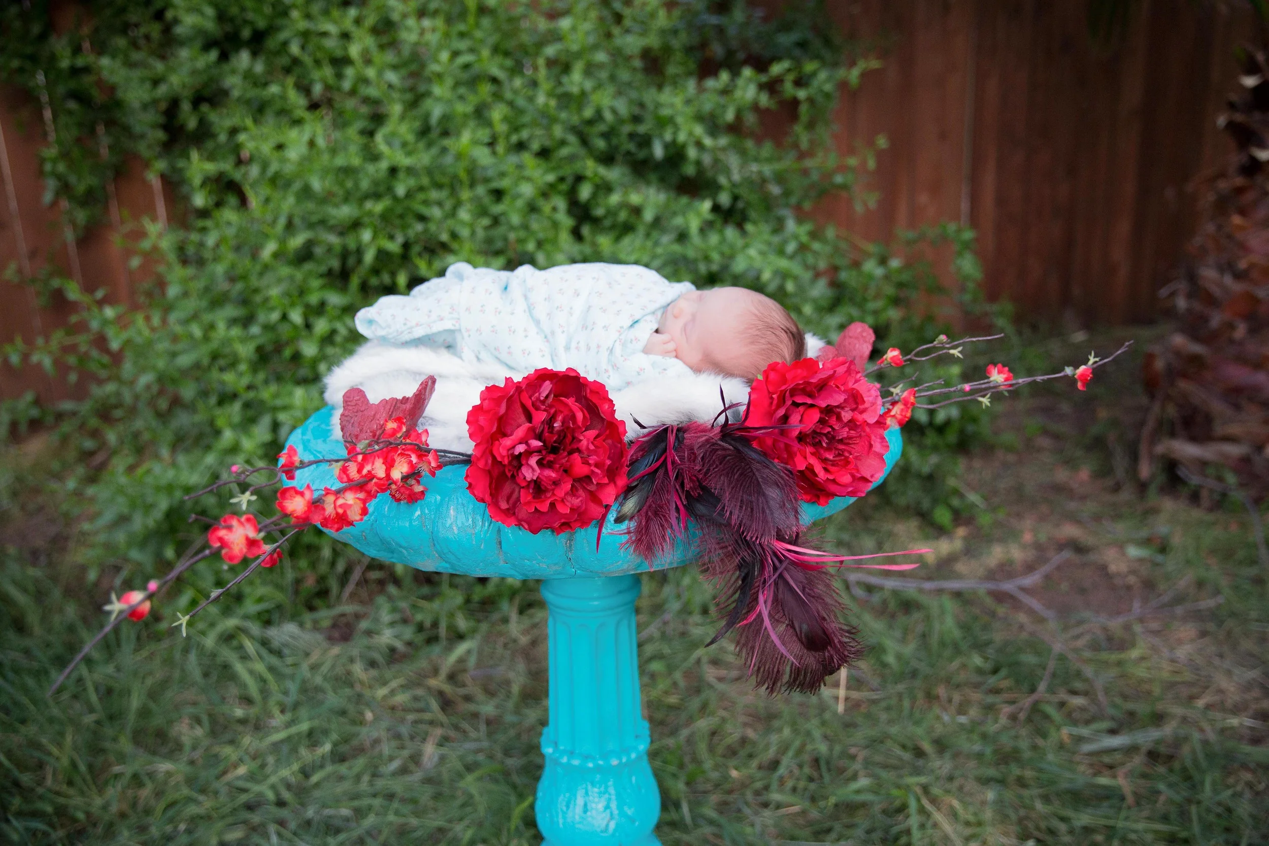 Ruby to Print-23.JPG