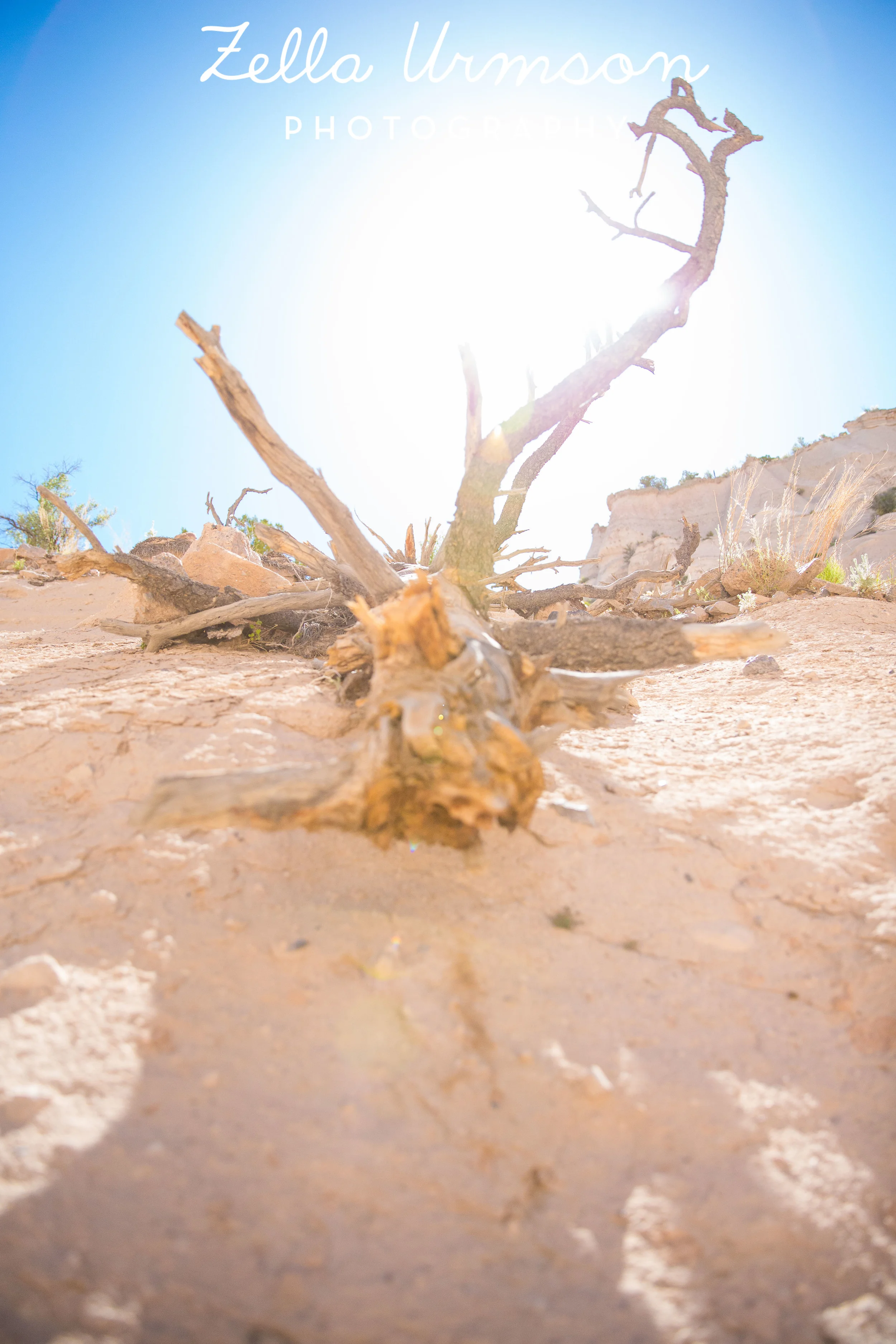 NM 5.2016 w ZUP-21.JPG