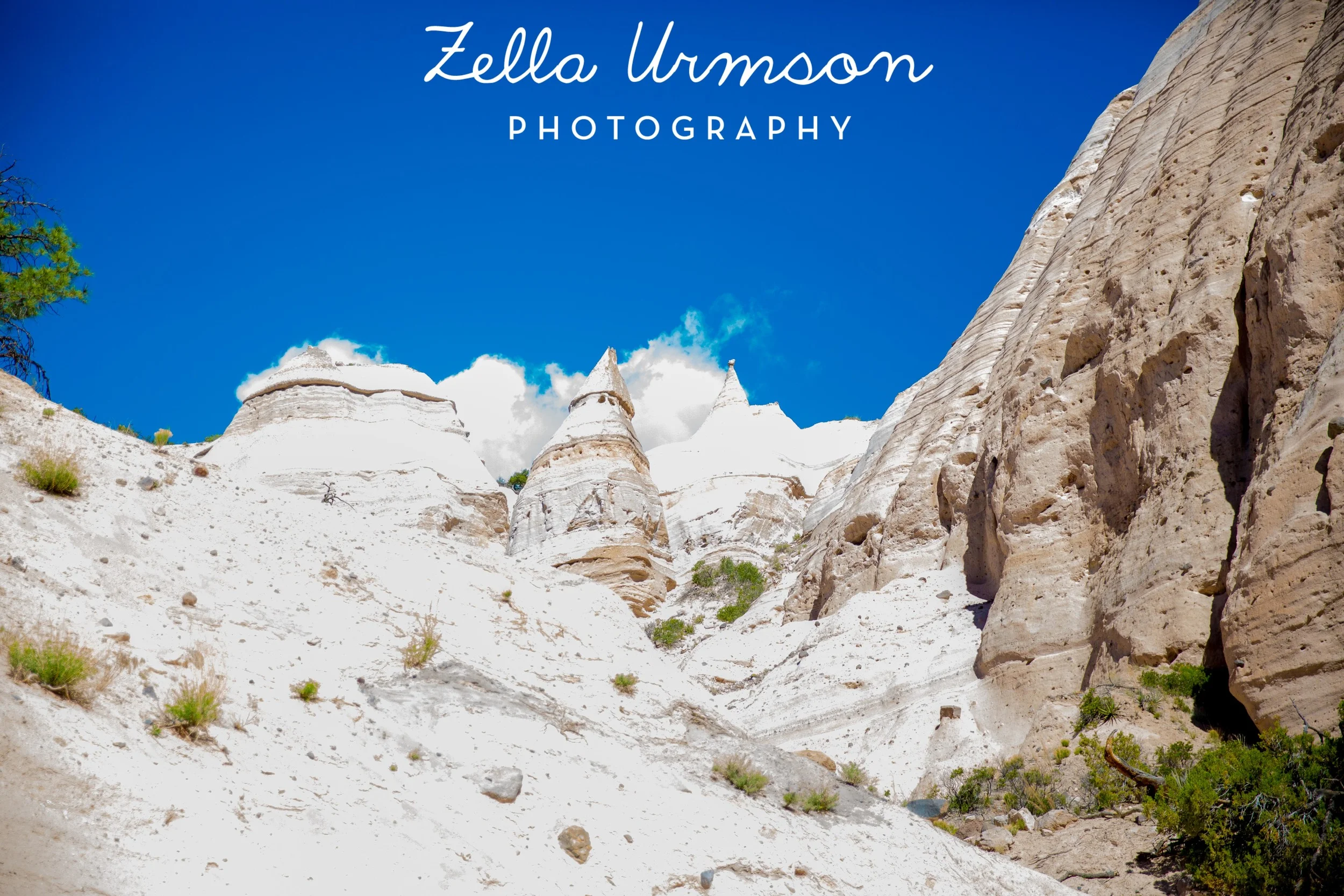 NM 5.2016 w ZUP-23.JPG