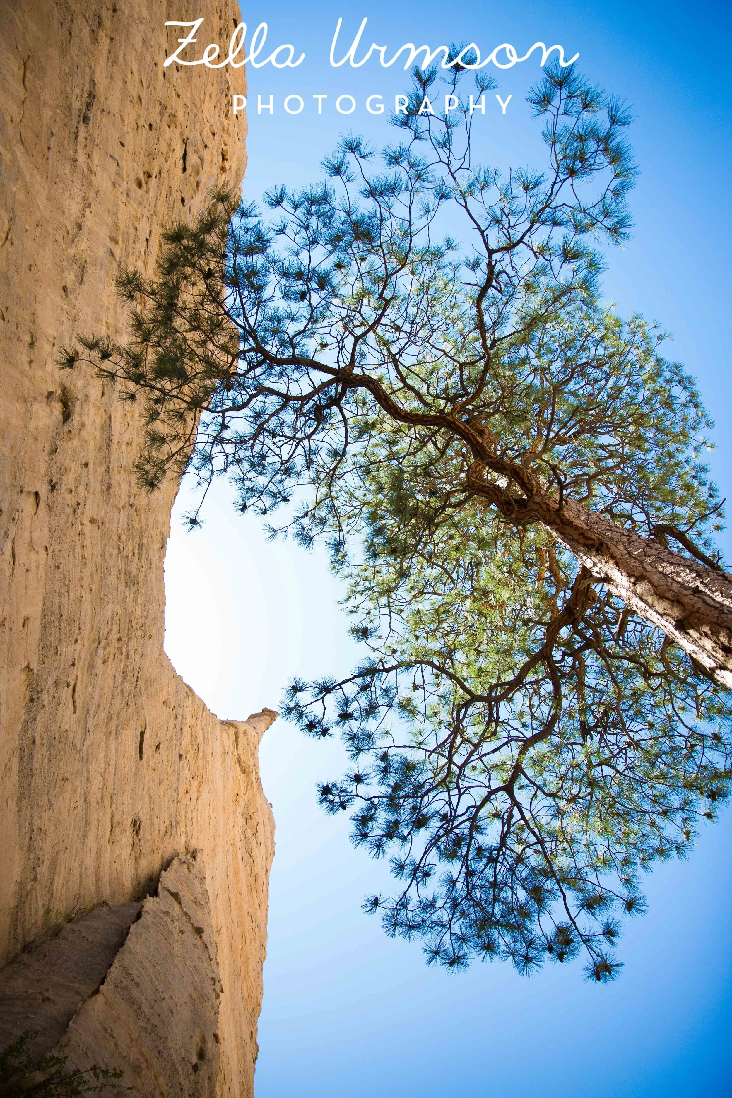 NM 5.2016 w ZUP-42.JPG