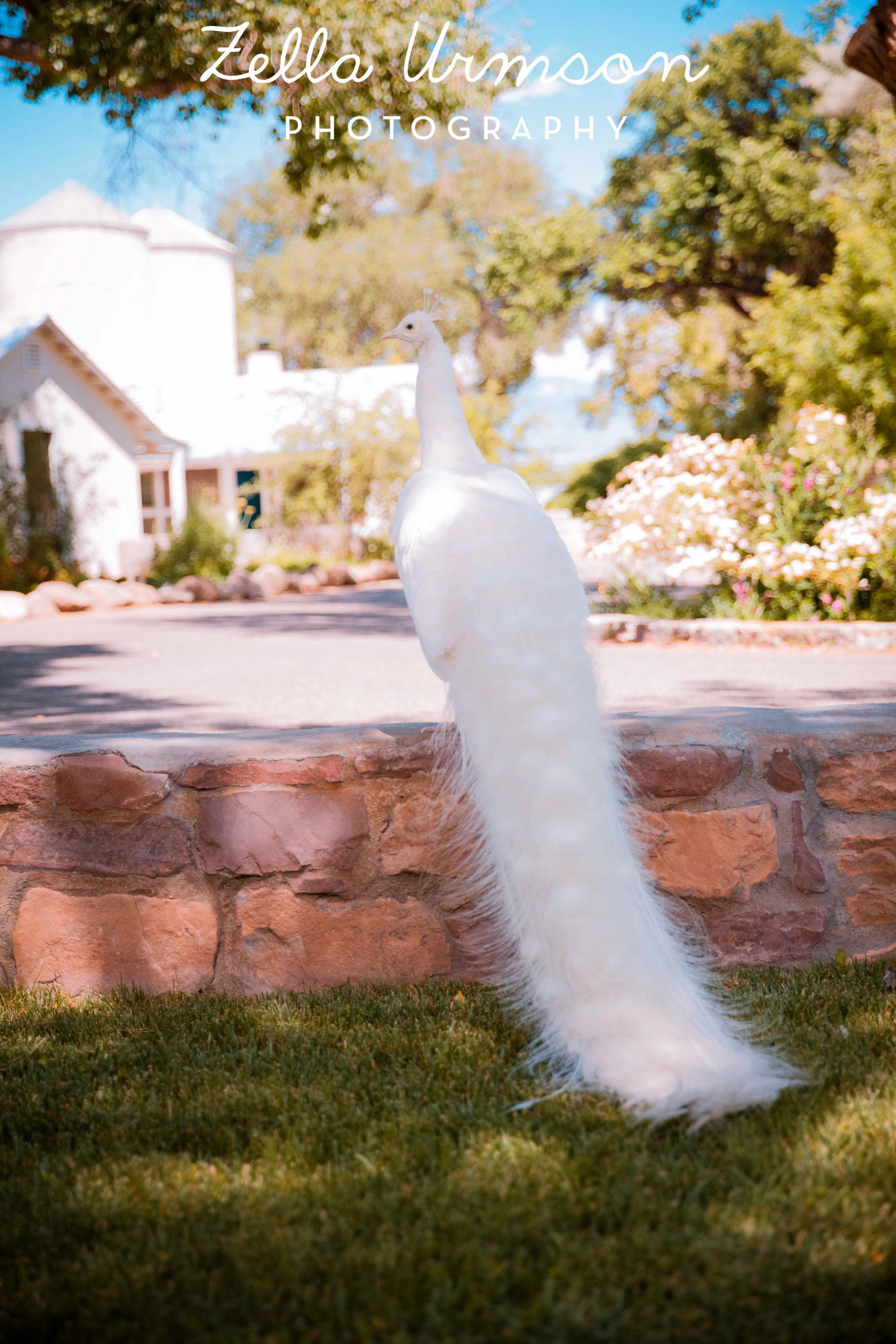 NM 5.2016 w ZUP-49.JPG