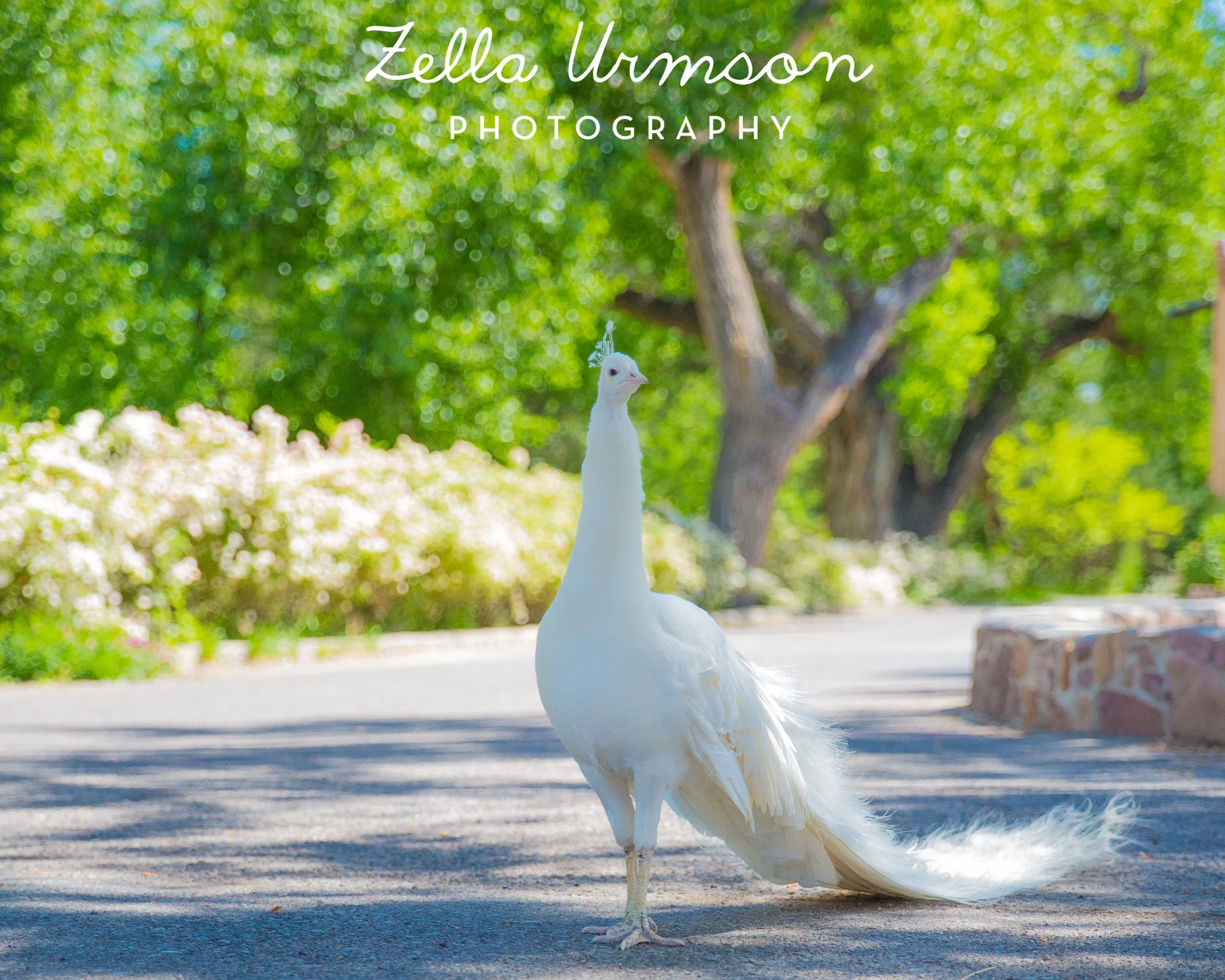 NM 5.2016 w ZUP-54.JPG