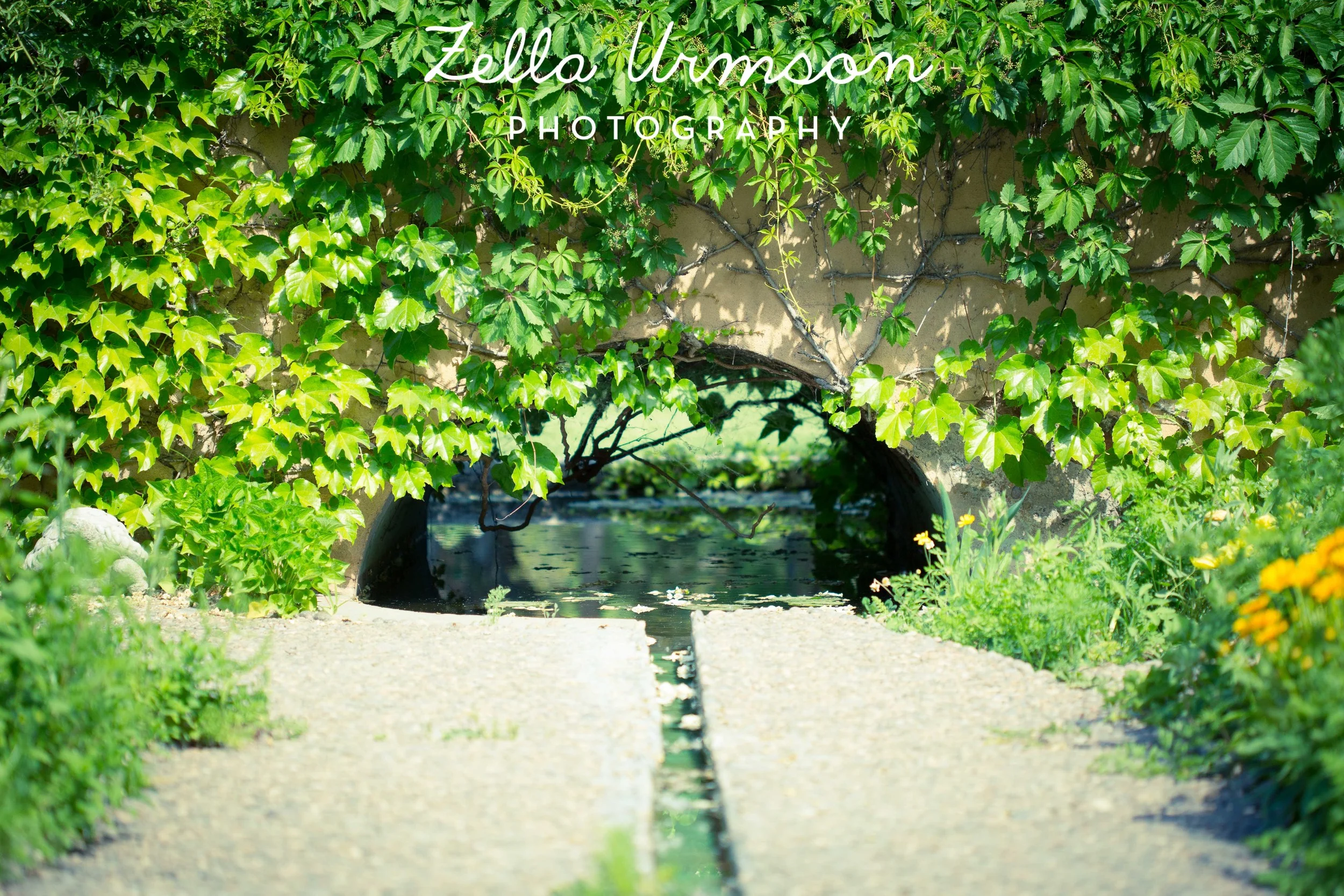 NM 5.2016 w ZUP-58.JPG