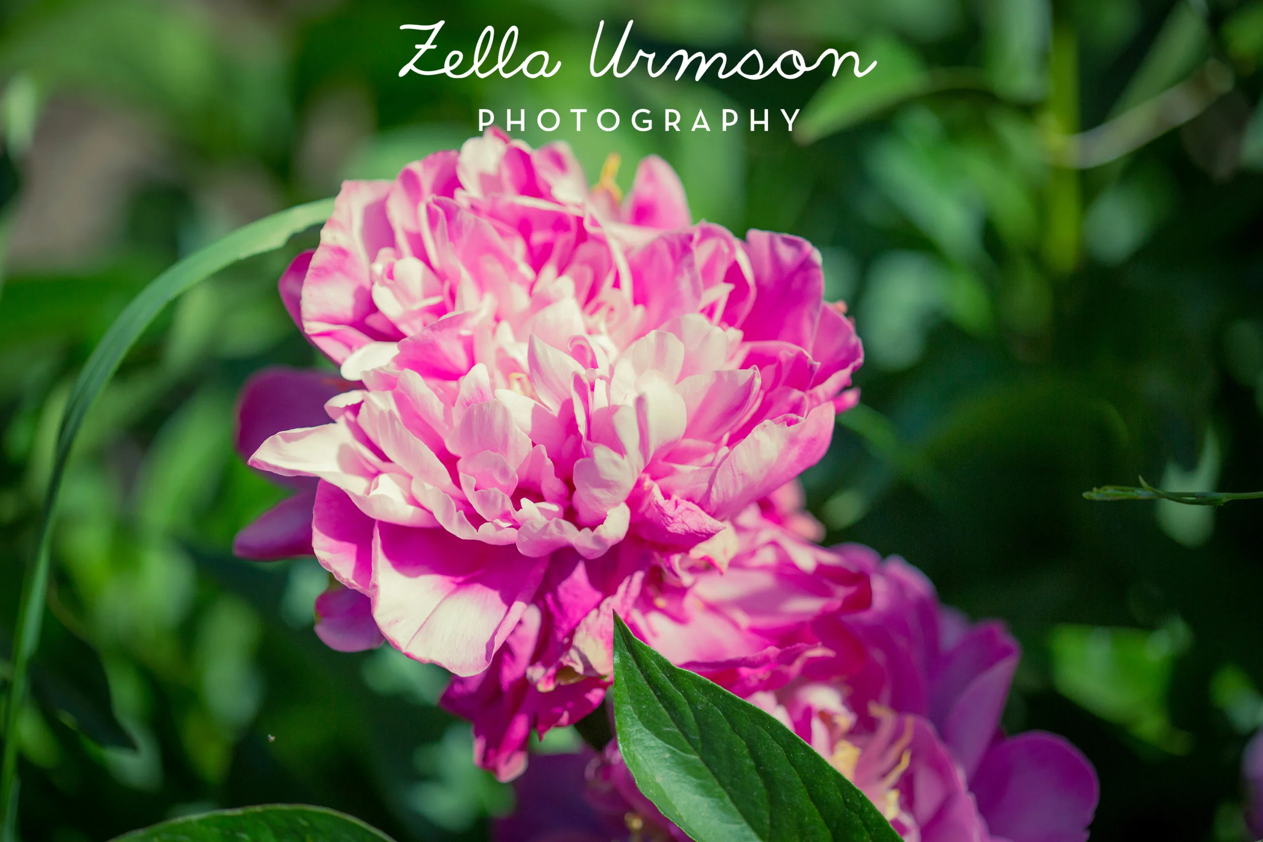 NM 5.2016 w ZUP-61.JPG