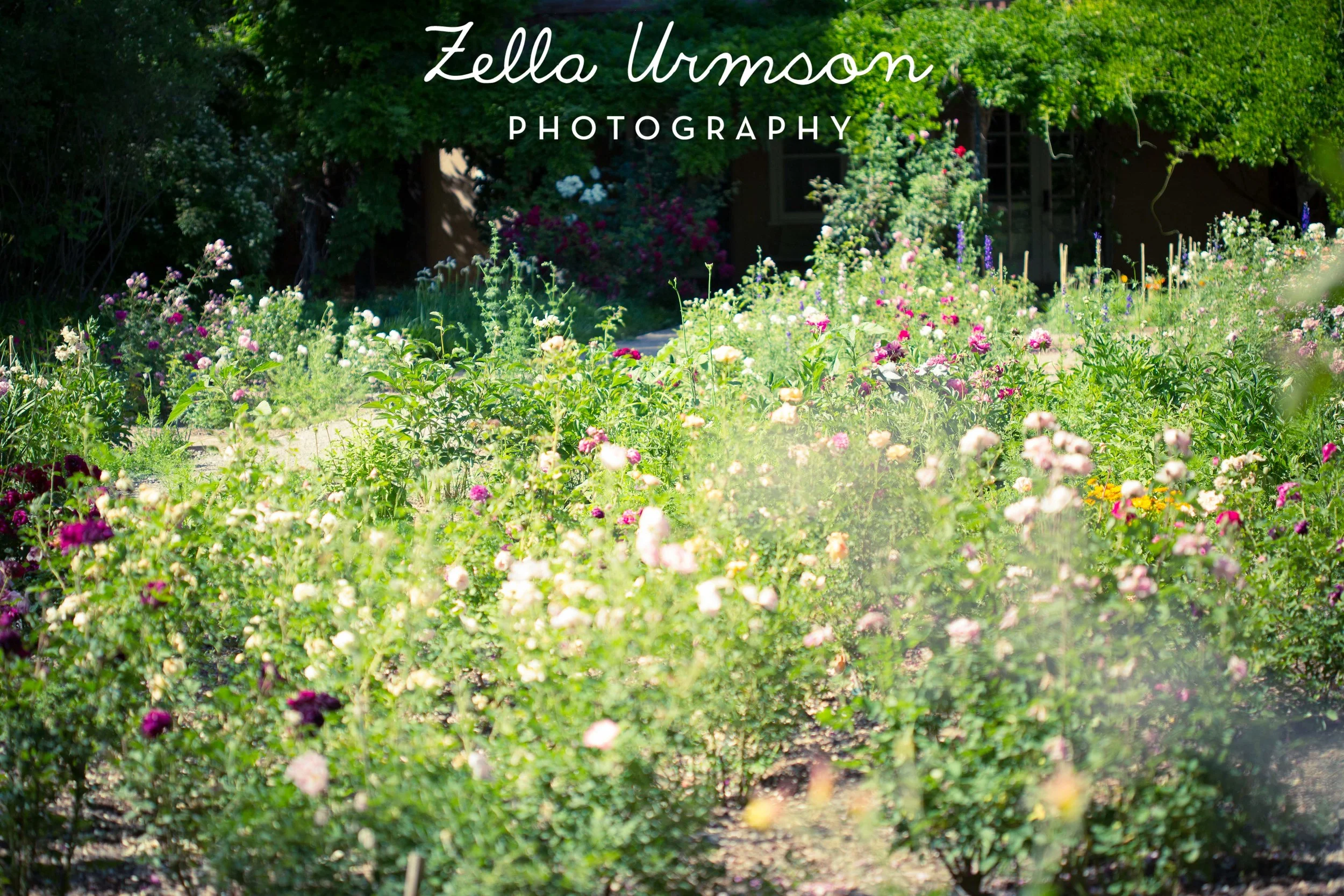 NM 5.2016 w ZUP-62.JPG