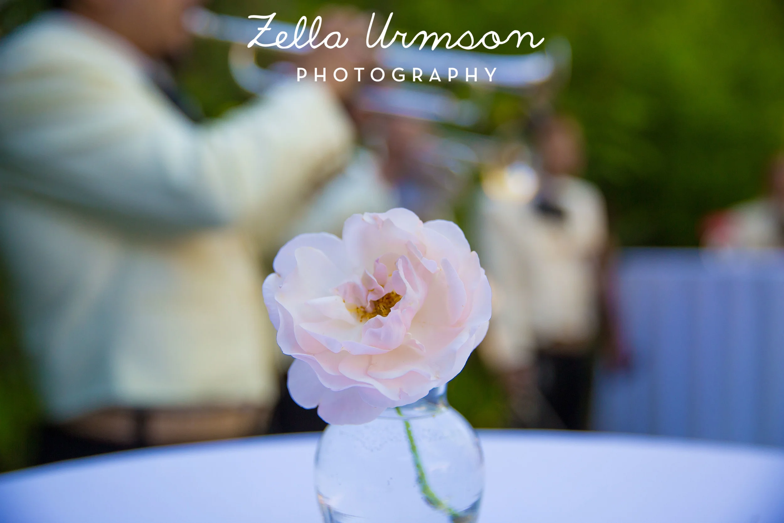 NM 5.2016 w ZUP-67.JPG