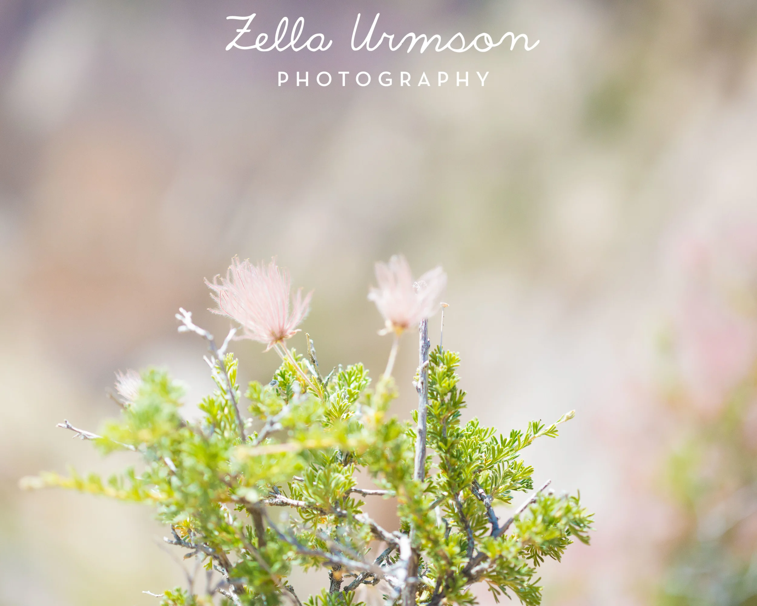 NM 5.2016 w ZUP-33.JPG
