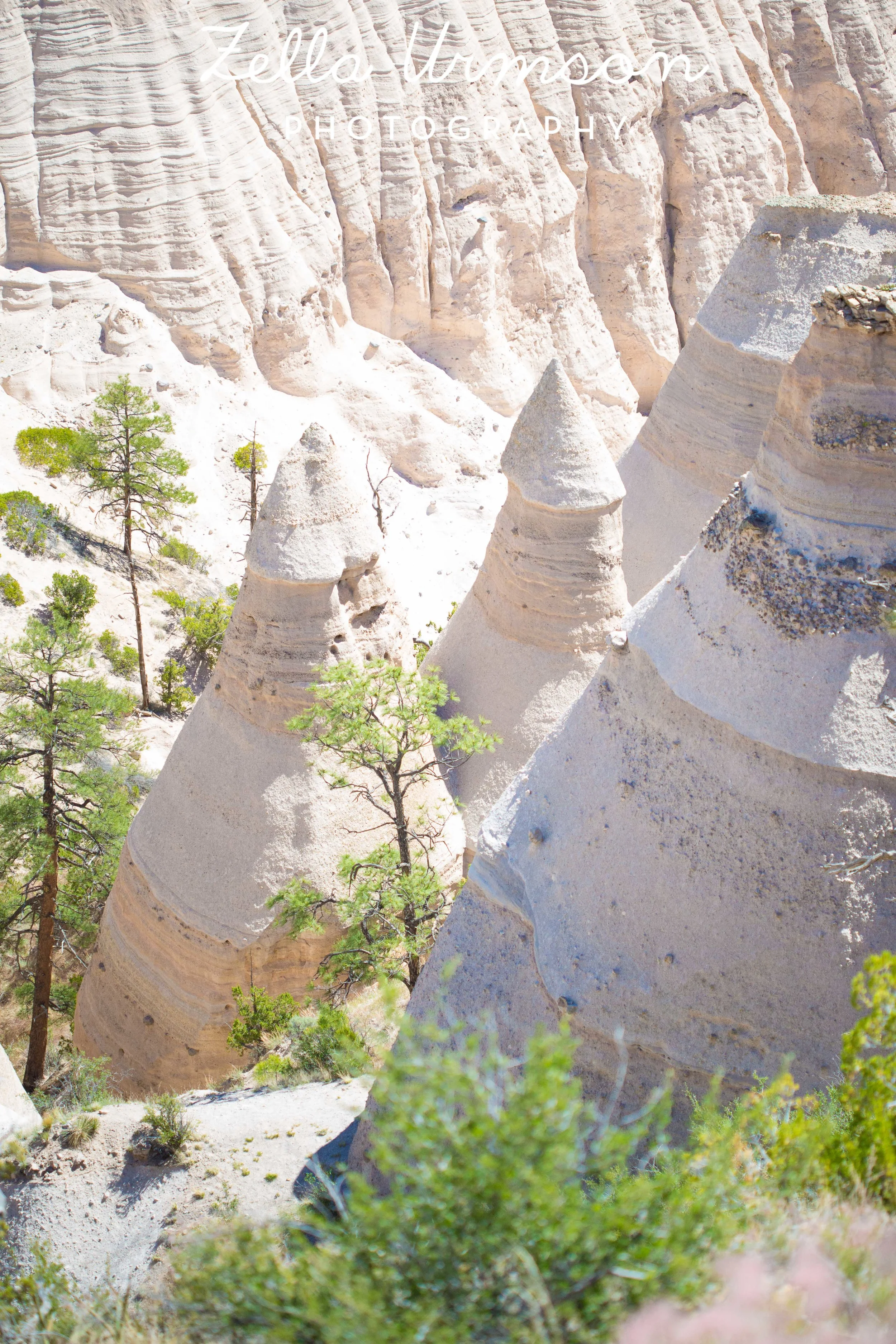 NM 5.2016 w ZUP-40.JPG