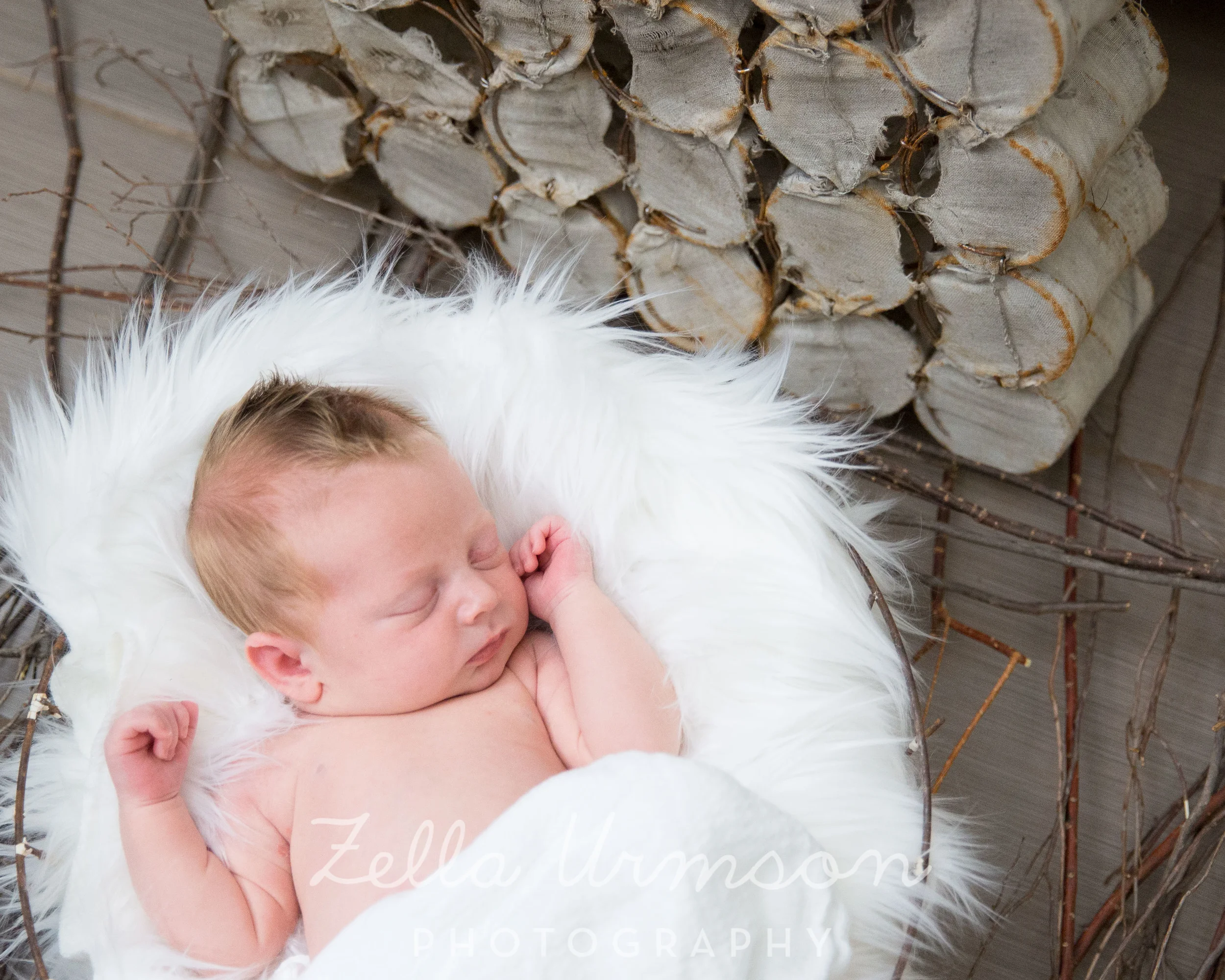 DD 6.24.16 to post-46.JPG