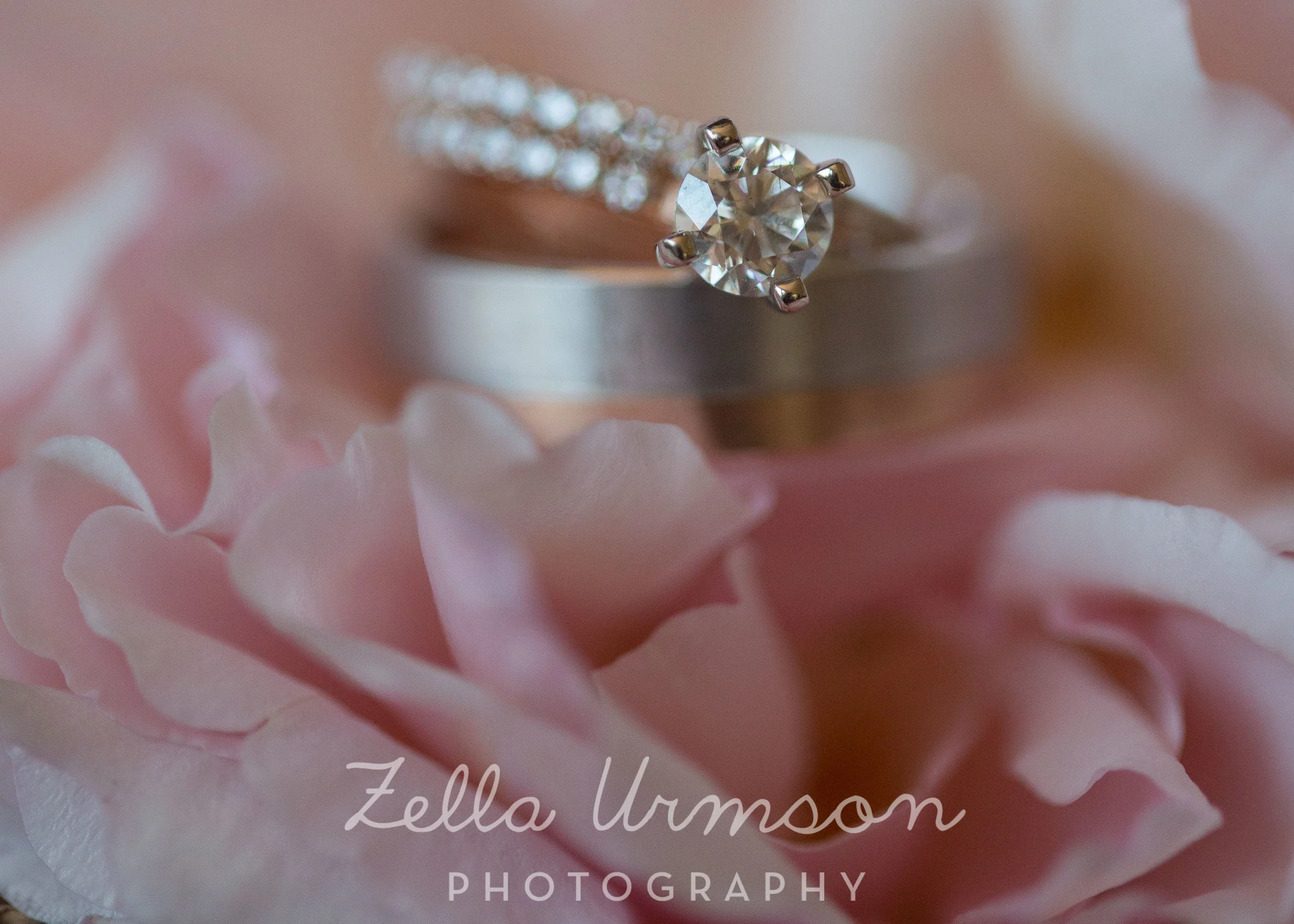 Samples AR ZUP-4.JPG