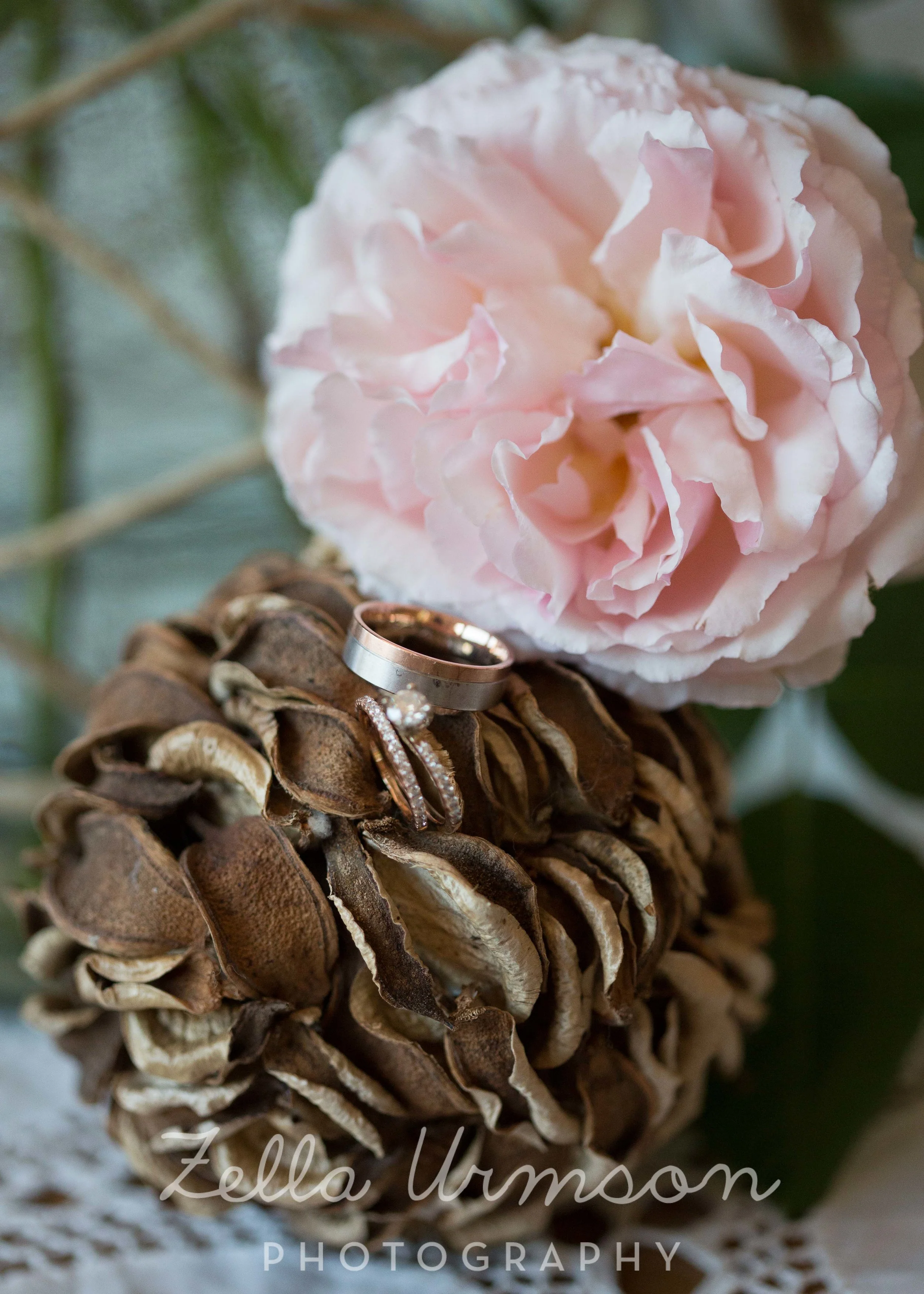 Samples AR ZUP-5.JPG