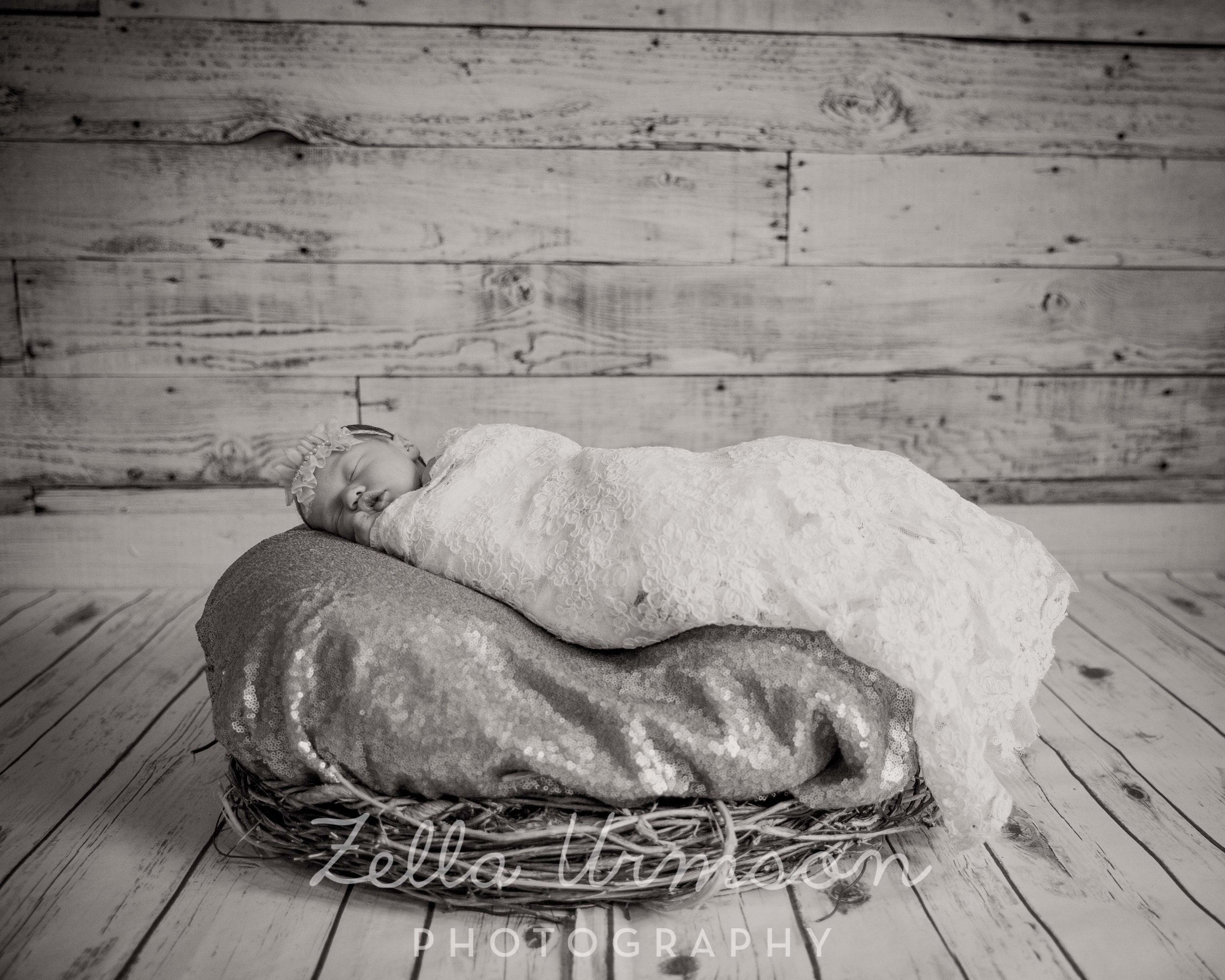 KBB8.26.16 ZUP-3.JPG