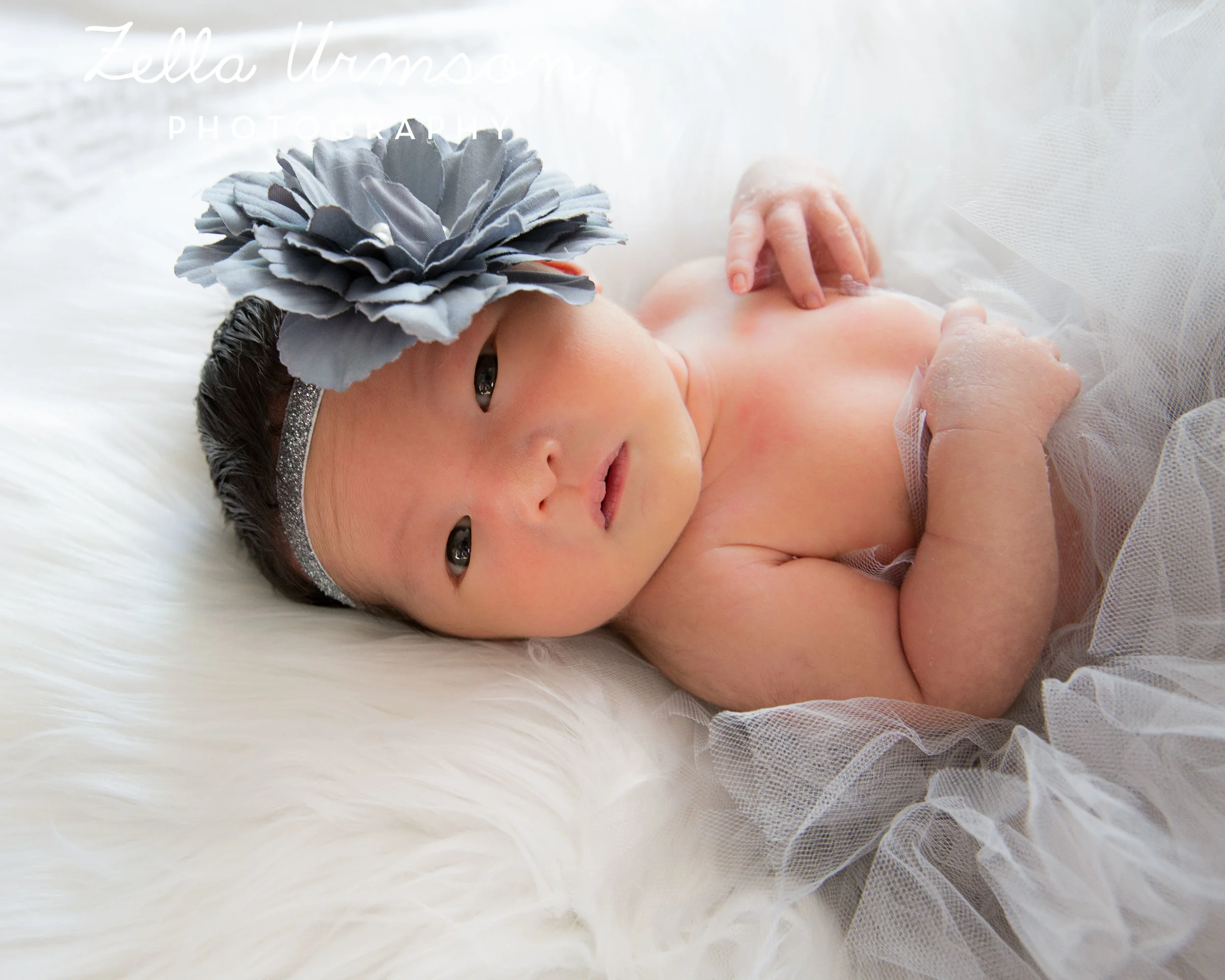 Eleanor2.25.17 ZUP-6.JPG