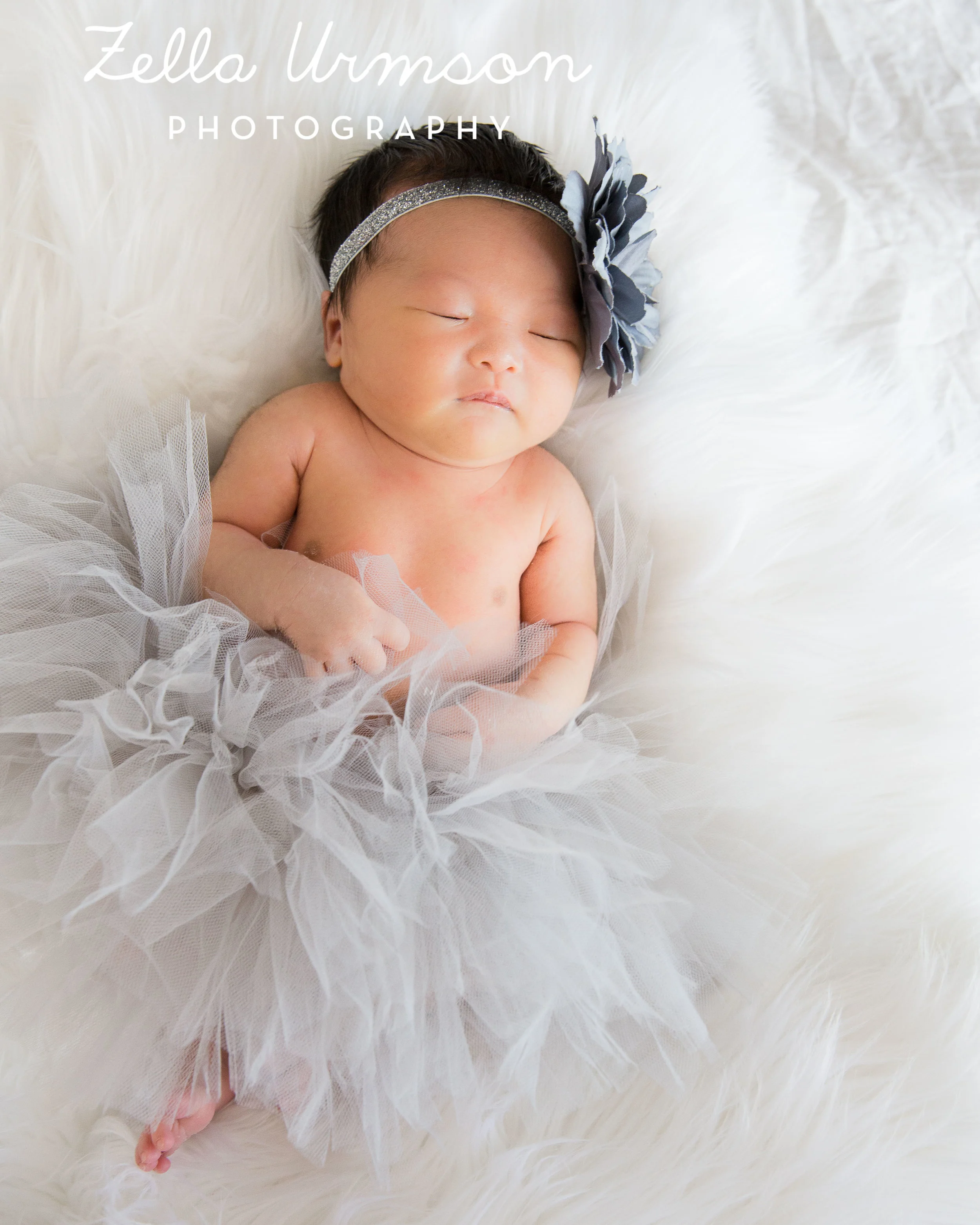 Eleanor2.25.17 ZUP-7.JPG