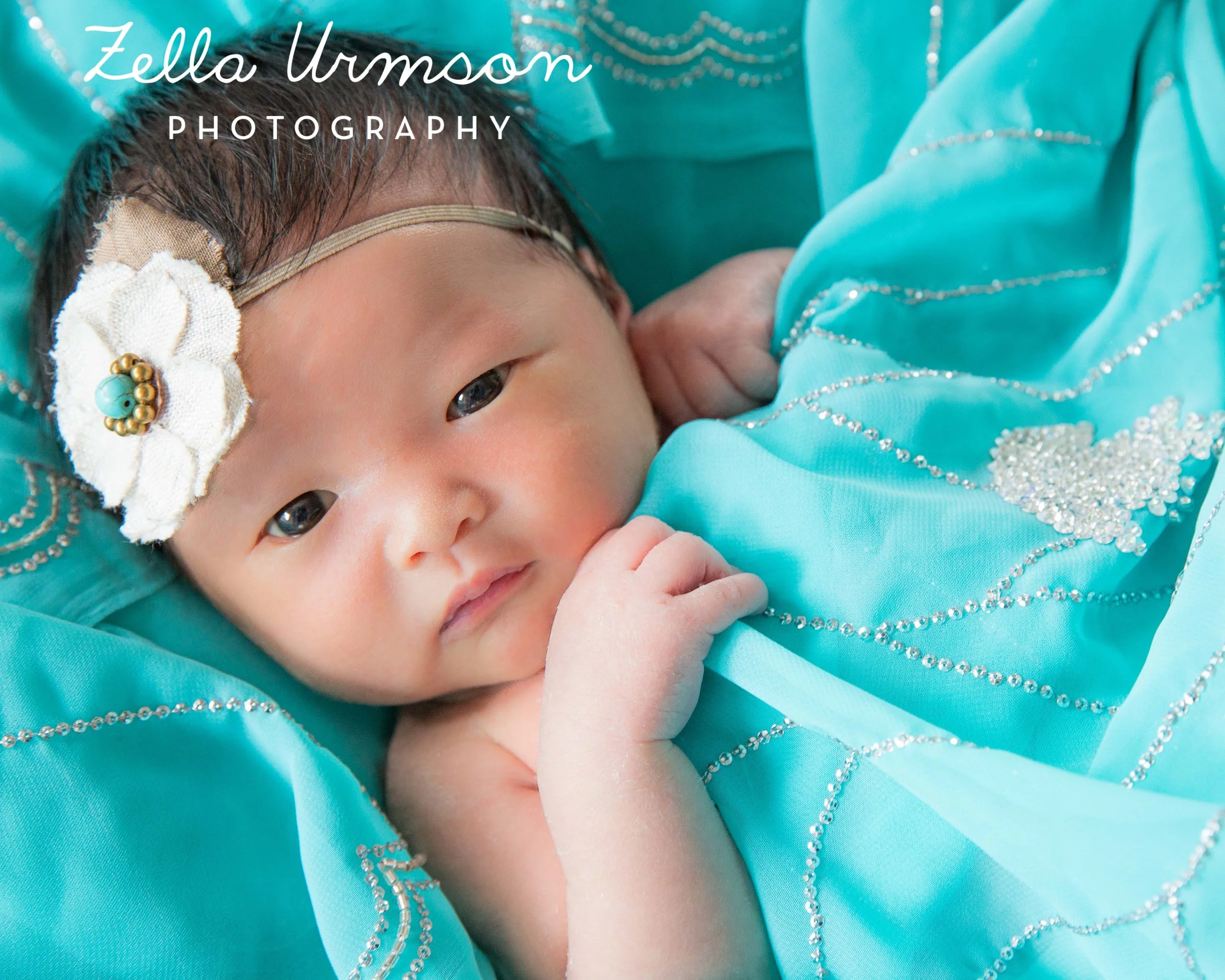 Eleanor2.25.17 ZUP-19.JPG