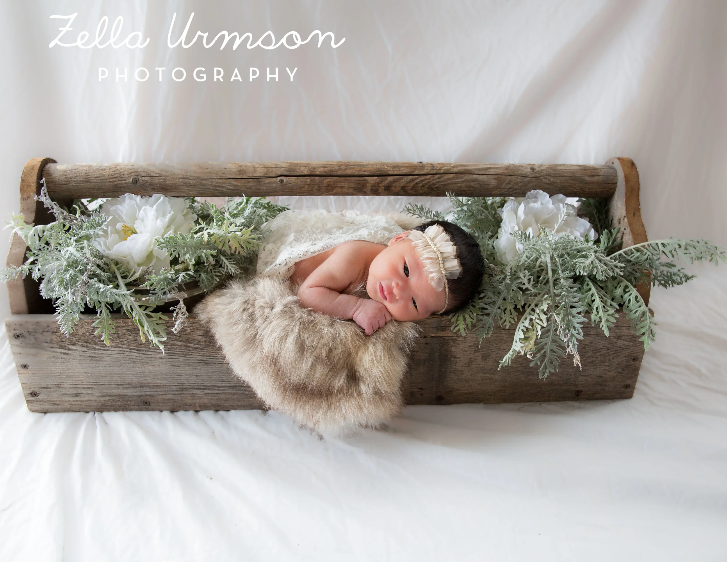 Eleanor2.25.17 ZUP-20.JPG