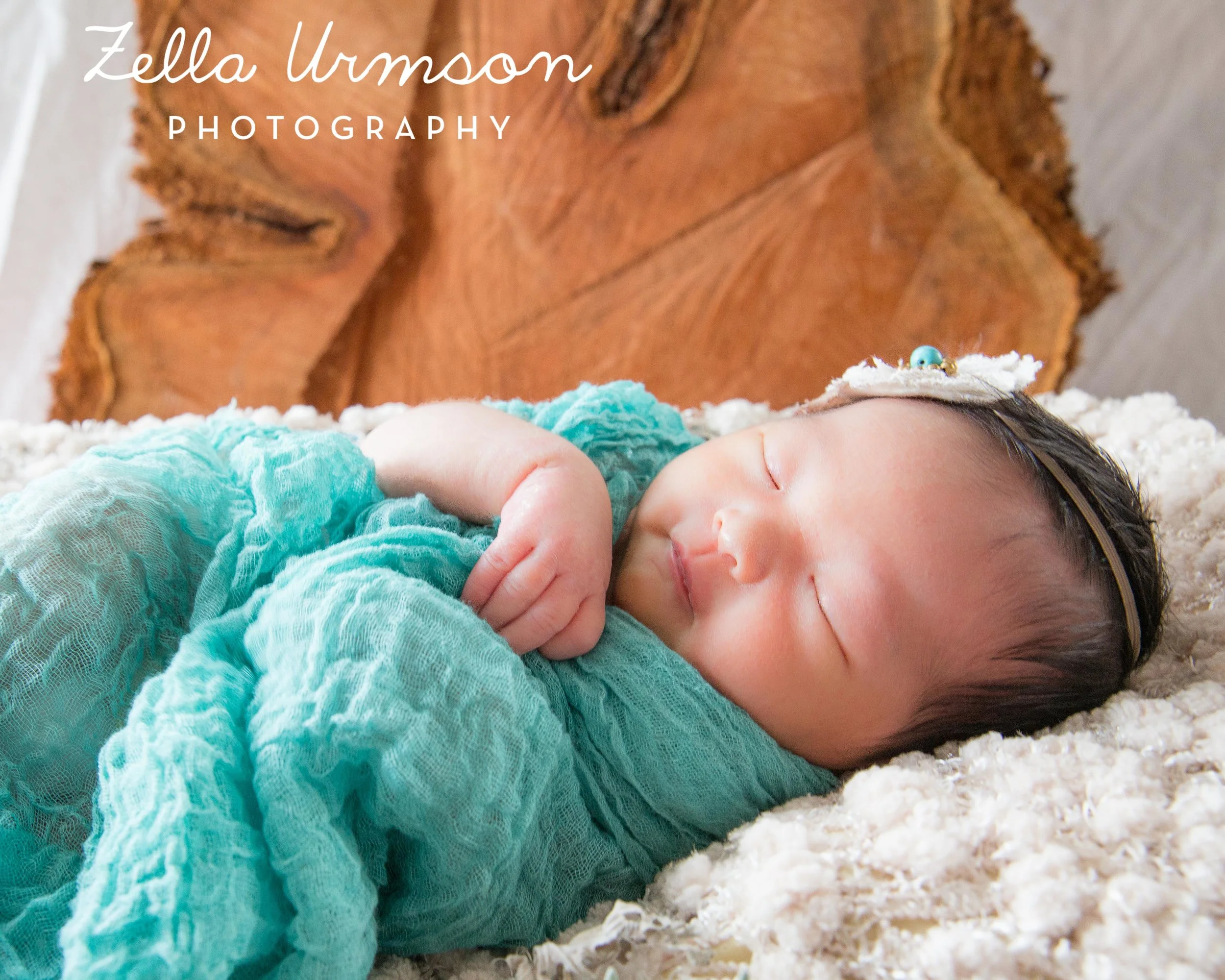 Eleanor2.25.17 ZUP-22.JPG