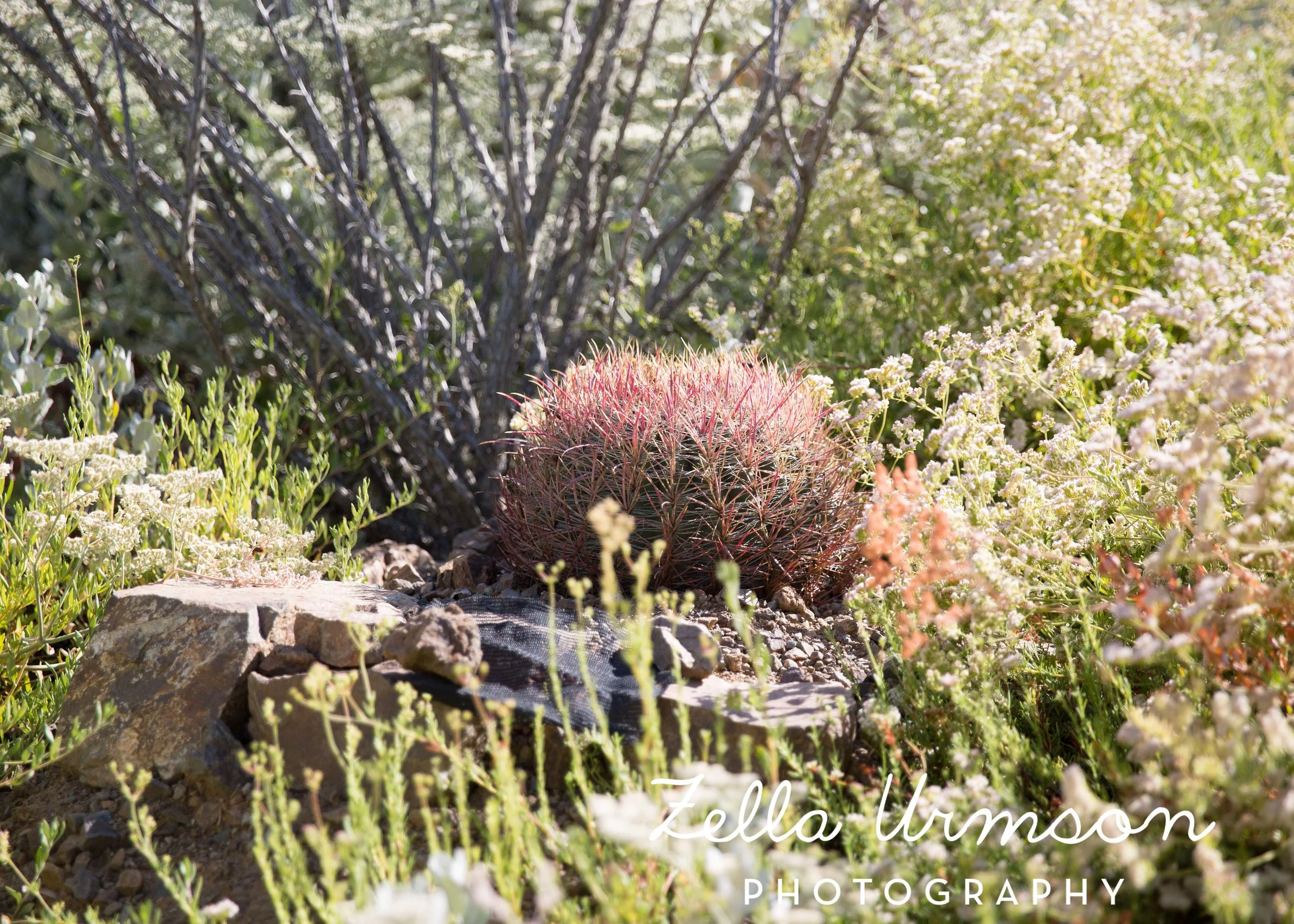 RBGSS7.1.17 w ZUP -18.JPG