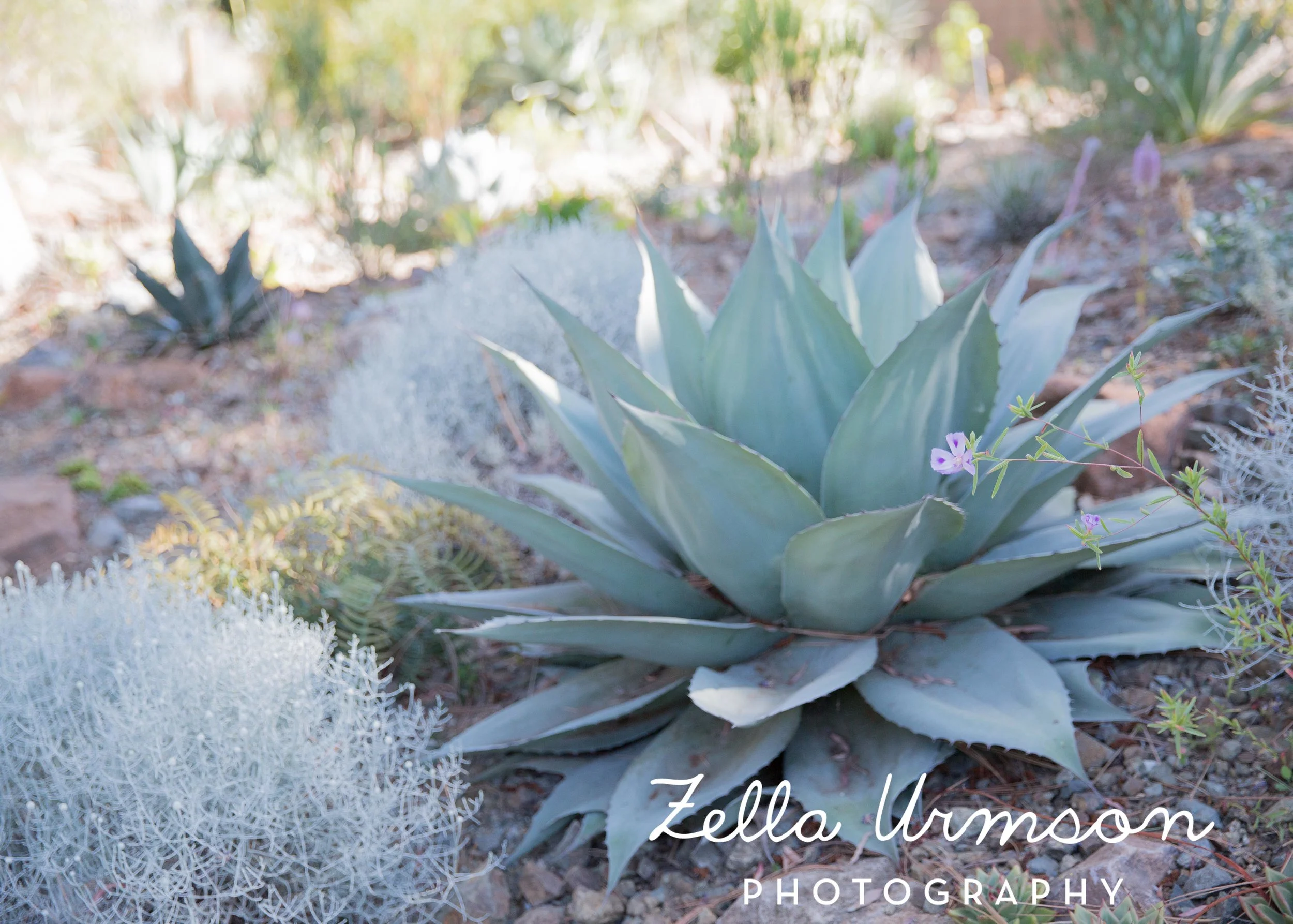 RBGSS7.1.17 w ZUP -29.JPG