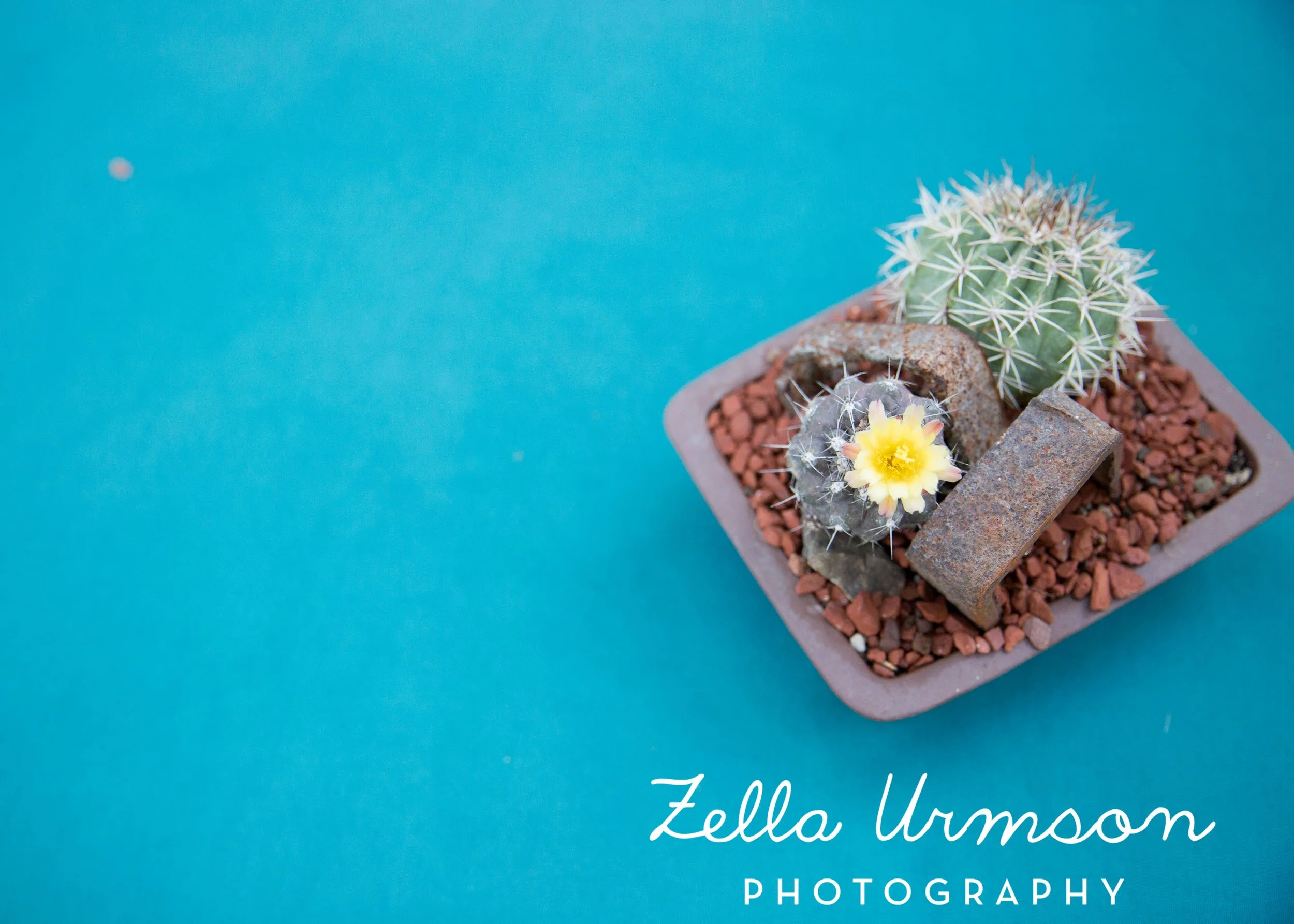 RBGSS7.1.17 w ZUP -44.JPG