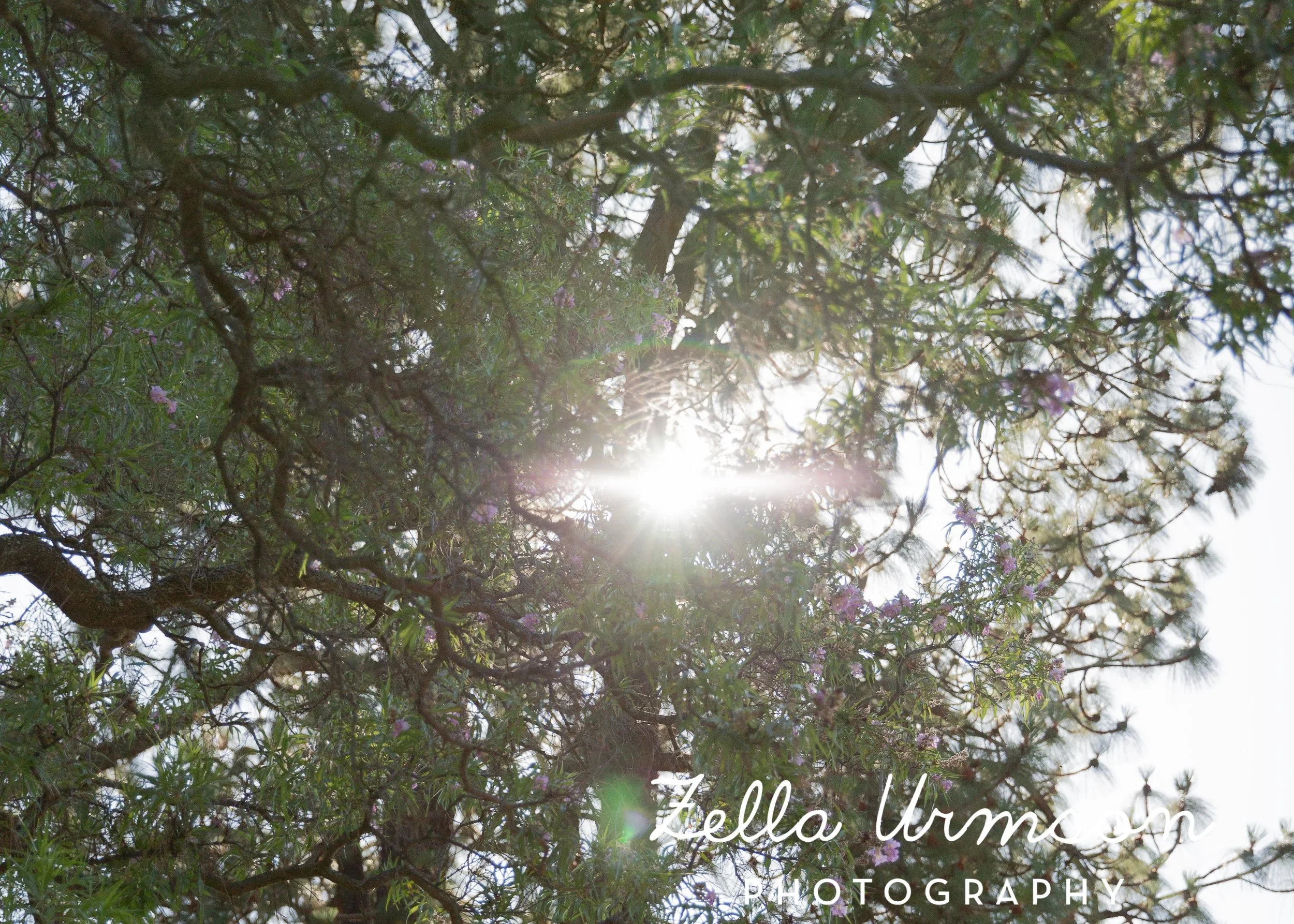 RBGSS7.1.17 w ZUP -79.JPG