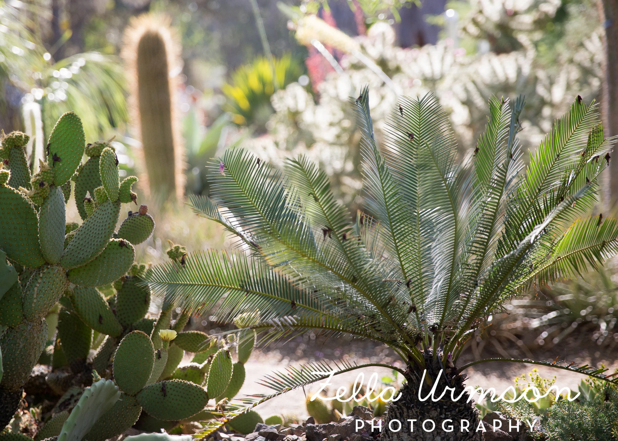 RBGSS7.1.17 w ZUP -81.JPG