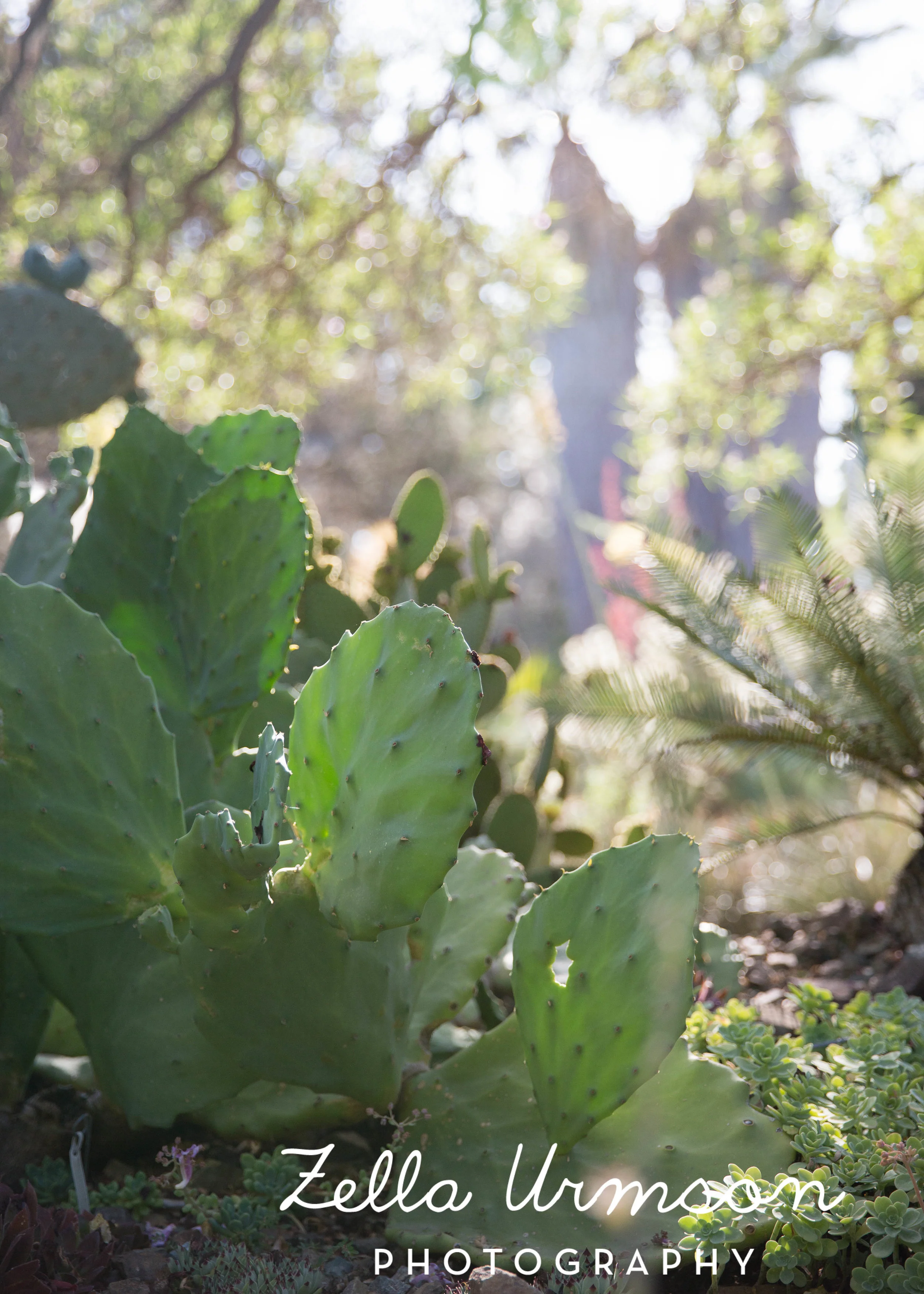 RBGSS7.1.17 w ZUP -82.JPG