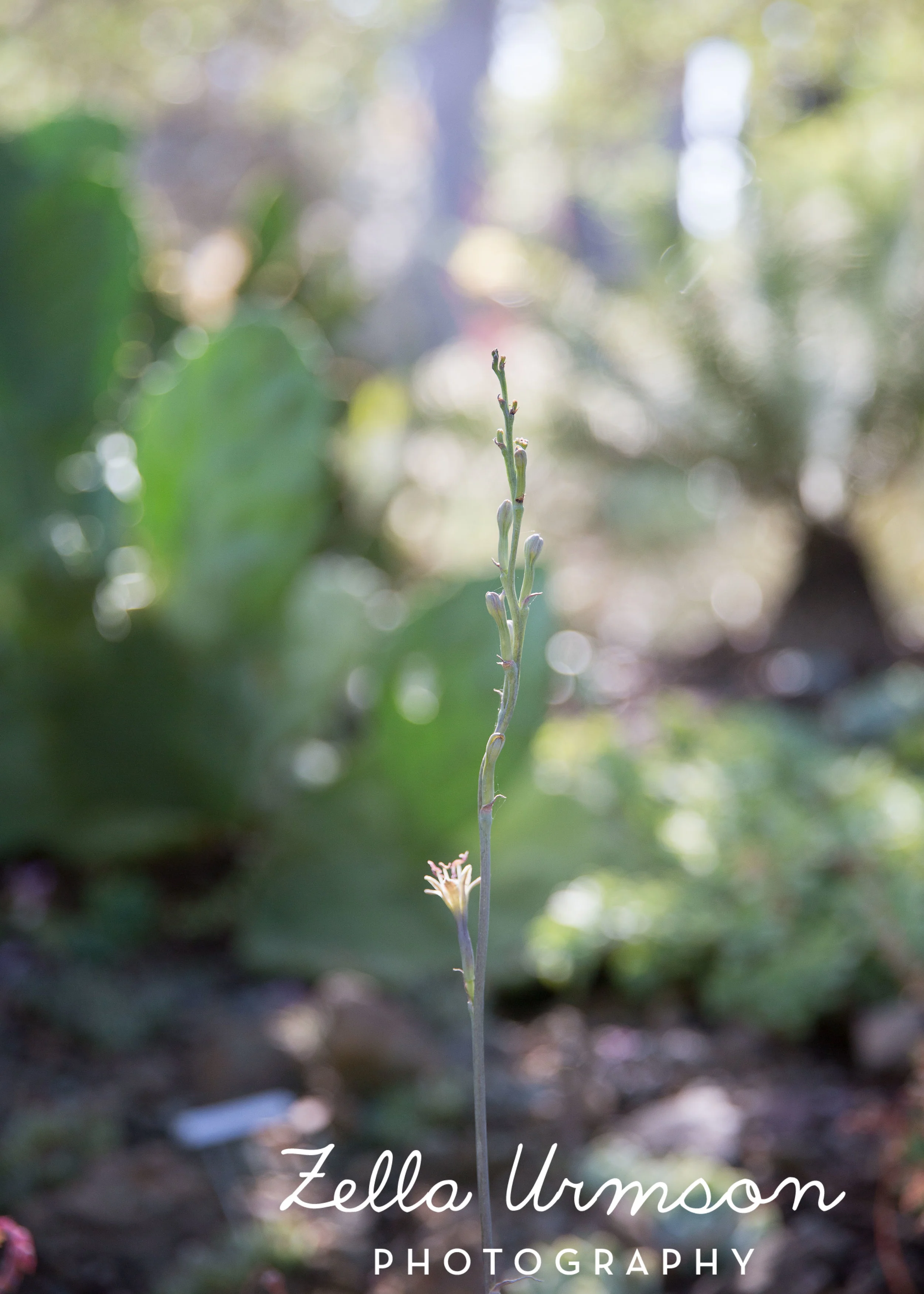 RBGSS7.1.17 w ZUP -83.JPG