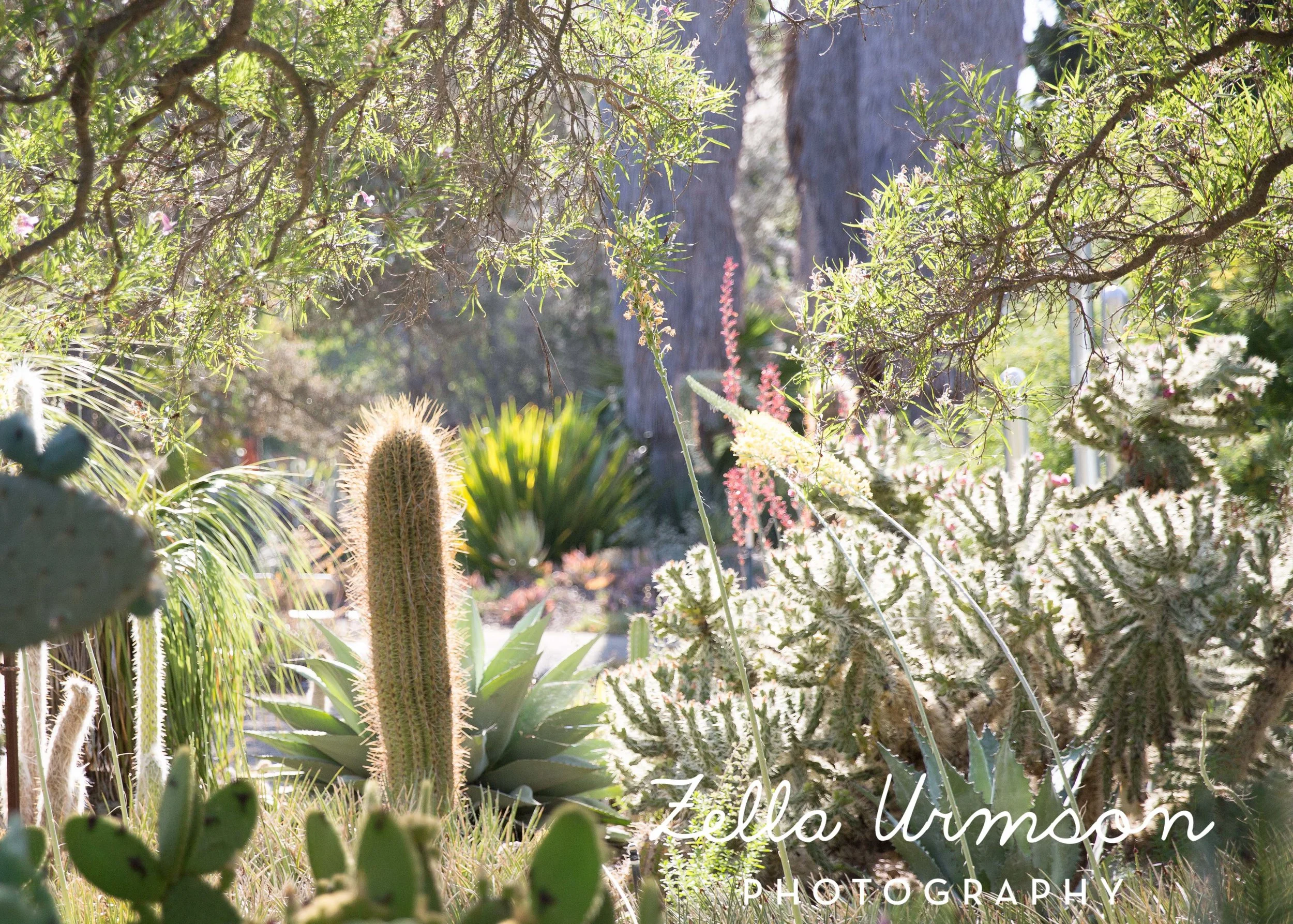 RBGSS7.1.17 w ZUP -84.JPG