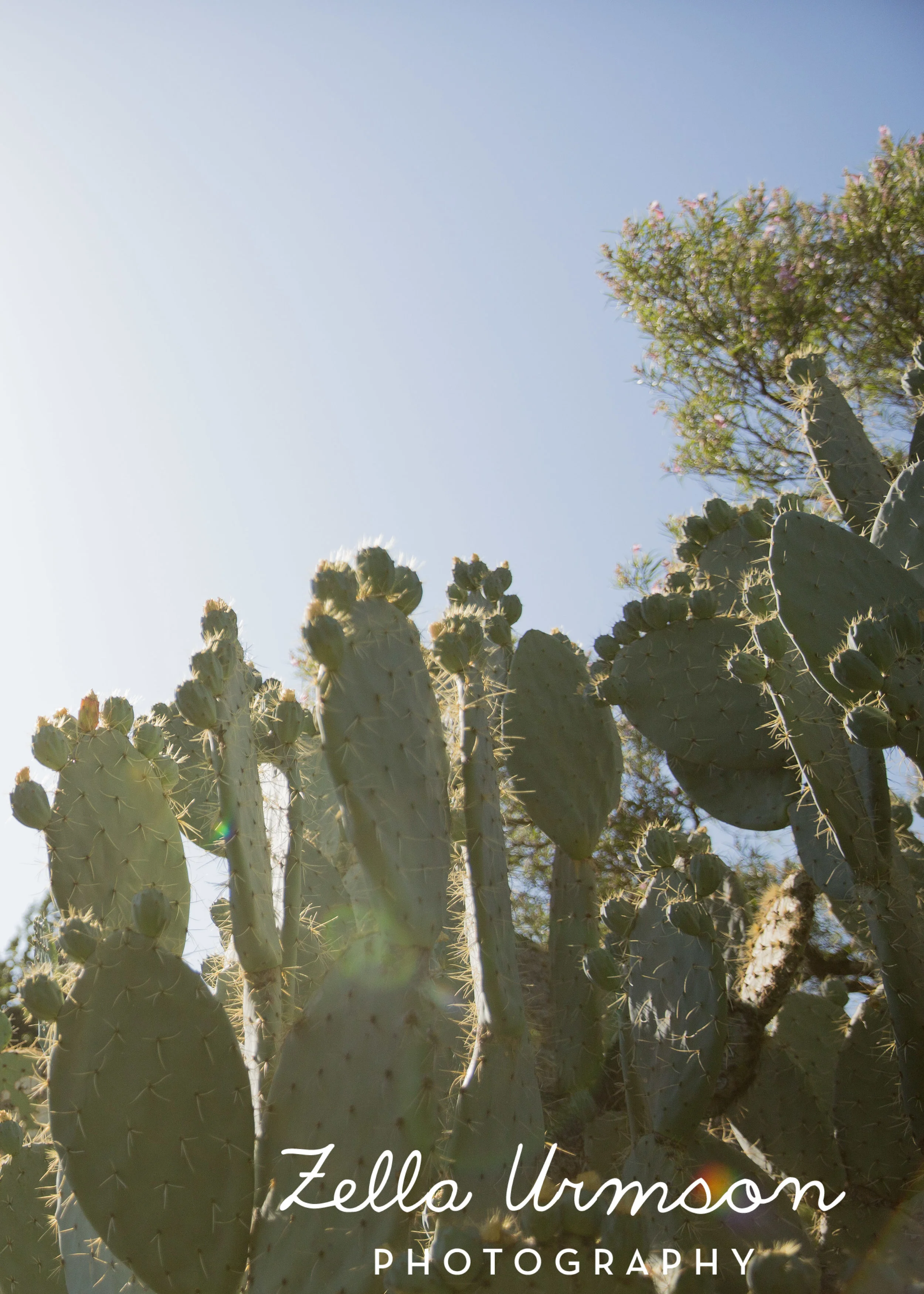 RBGSS7.1.17 w ZUP -85.JPG