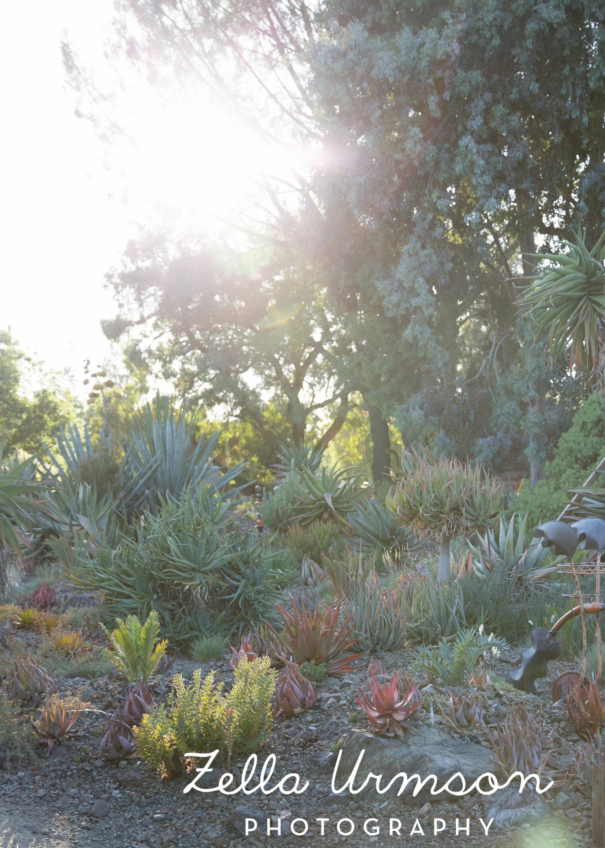 RBGSS7.1.17 w ZUP -208.JPG