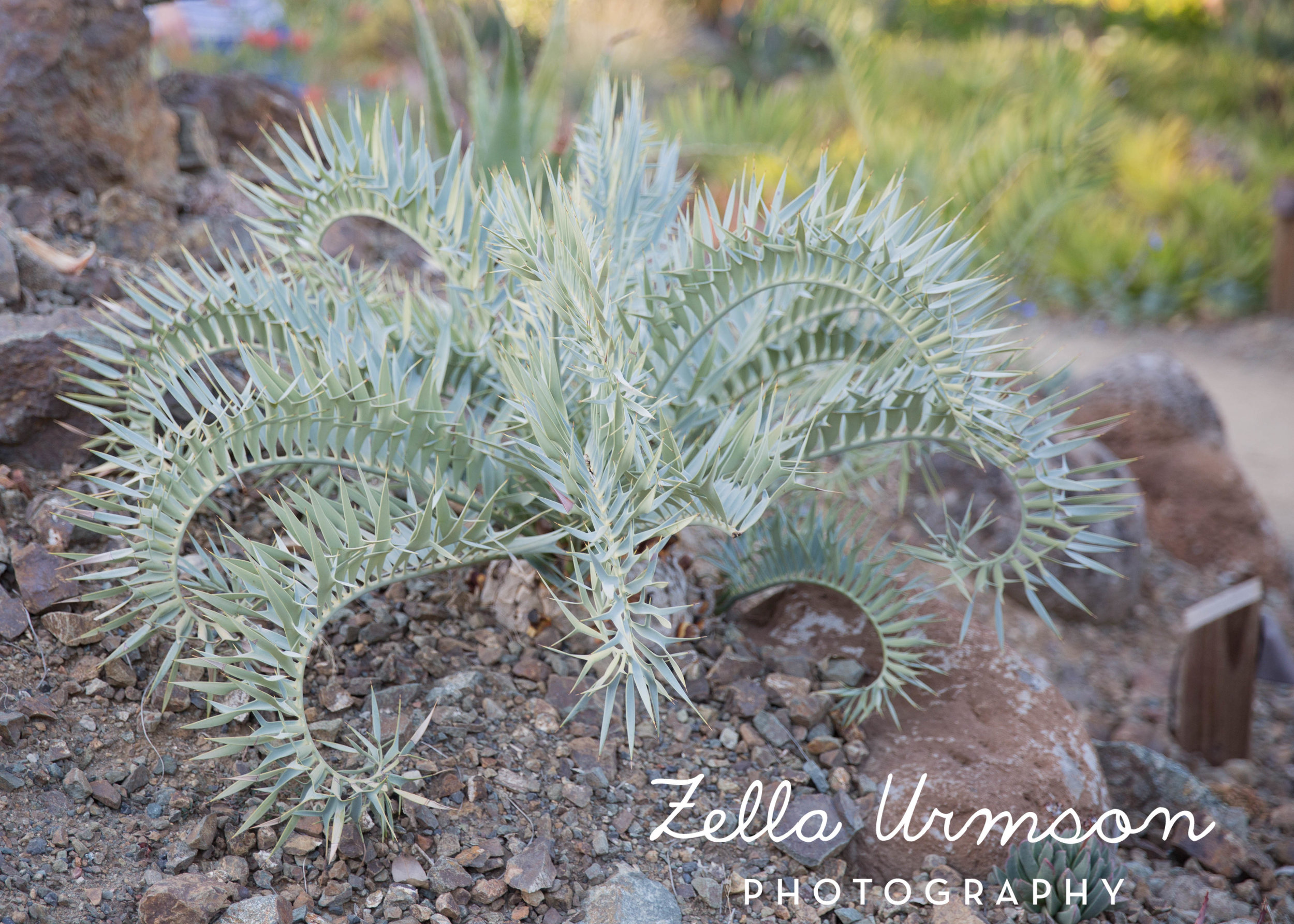 RBGSS7.1.17 w ZUP -210.JPG