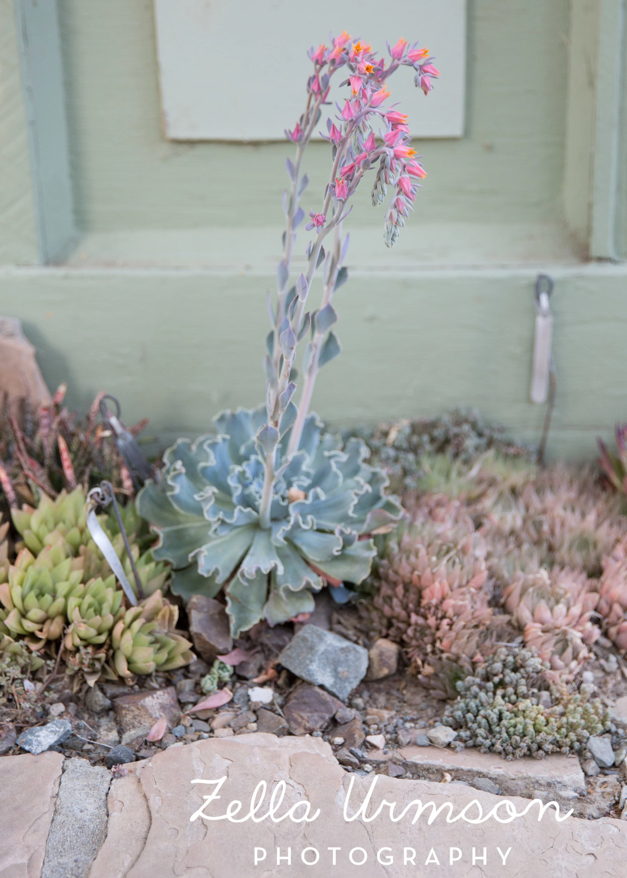 RBGSS7.1.17 w ZUP -226.JPG