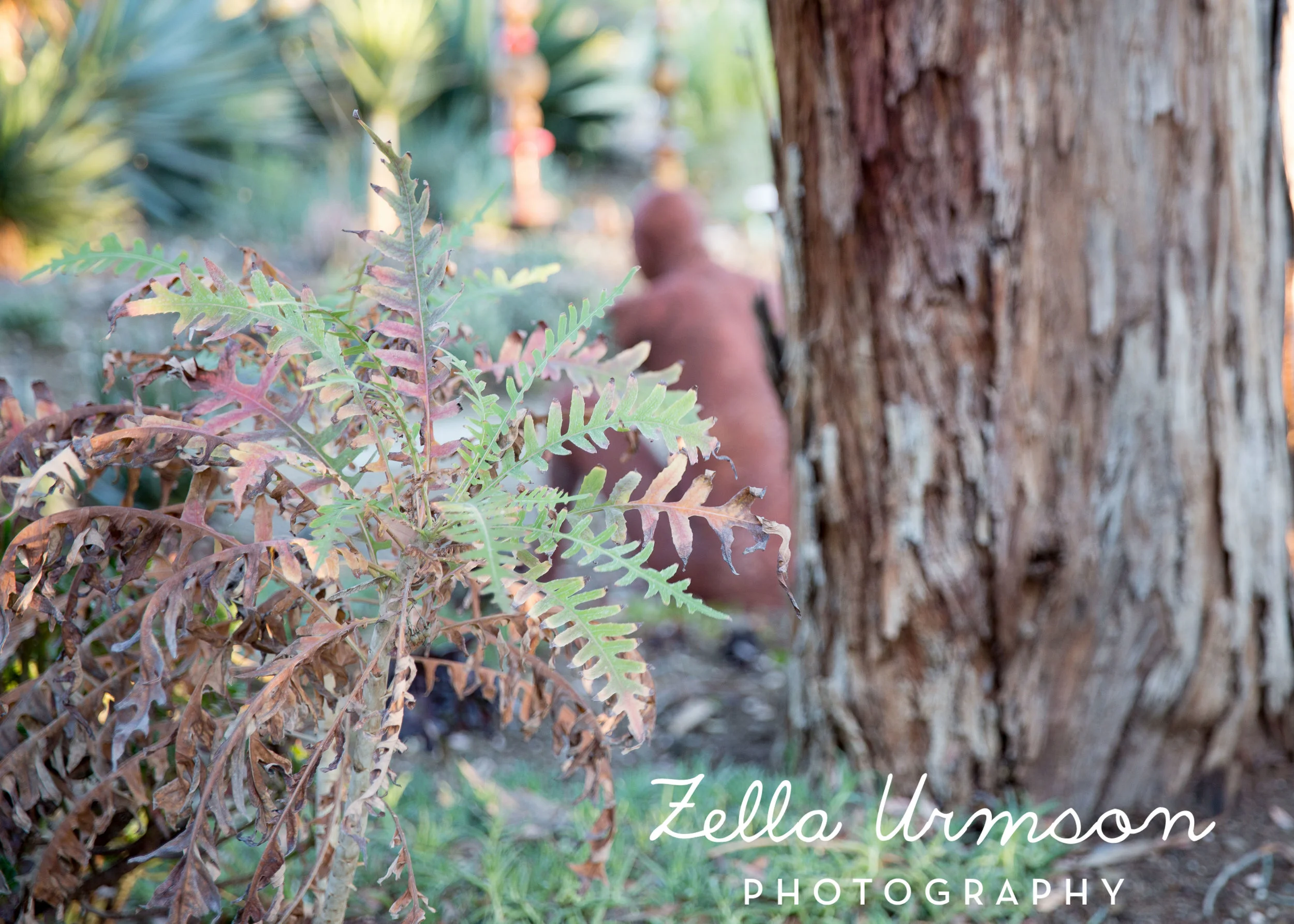 RBGSS7.1.17 w ZUP -260.JPG