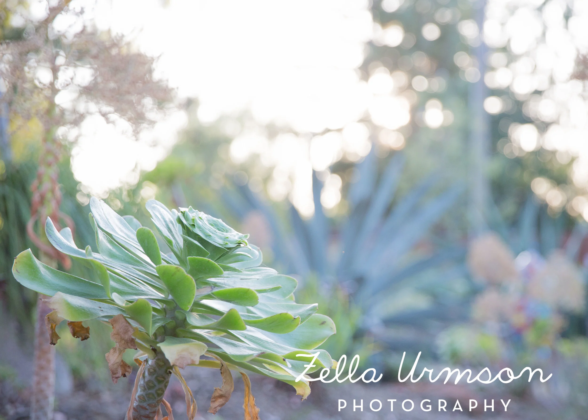 RBGSS7.1.17 w ZUP -261.JPG