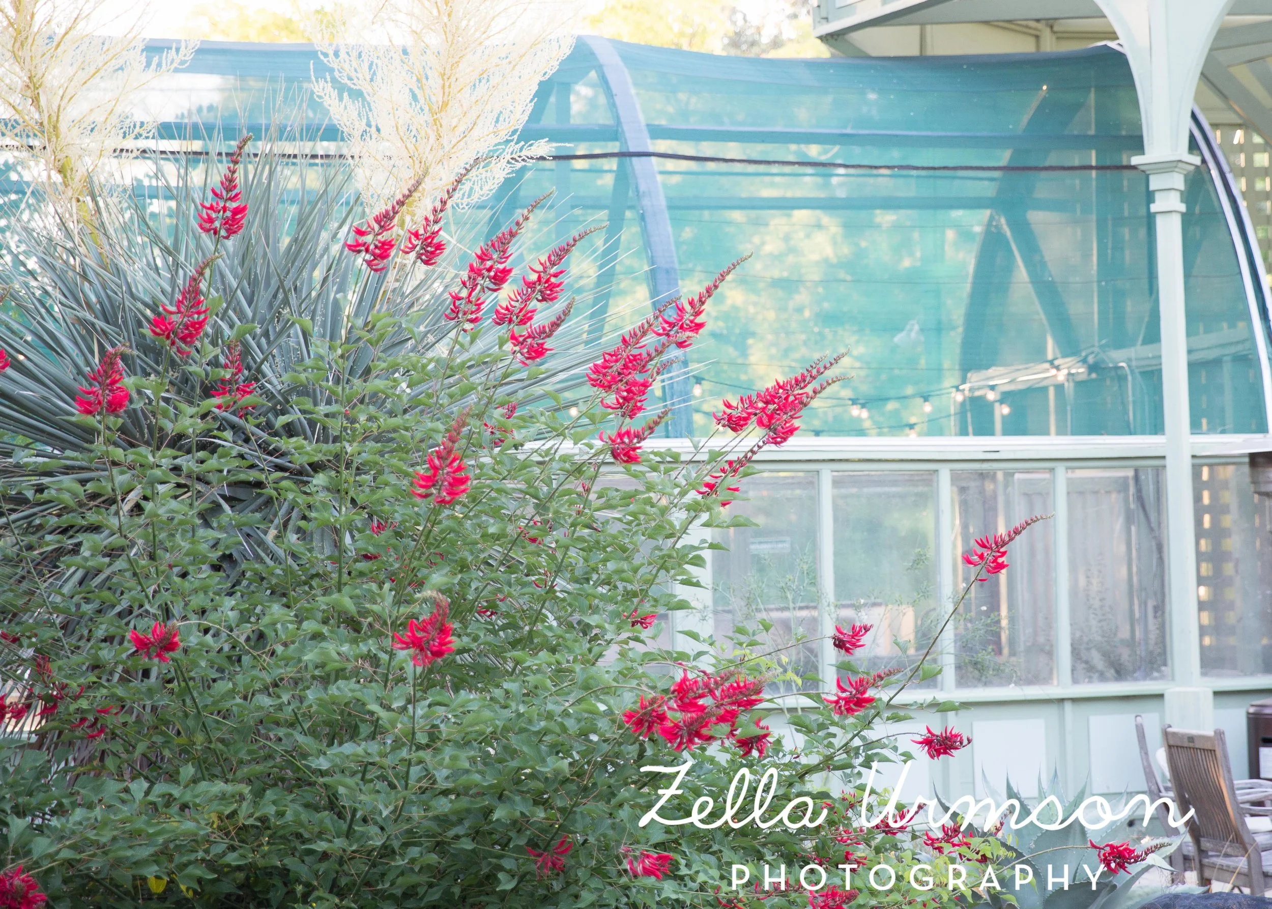 RBGSS7.1.17 w ZUP -270.JPG