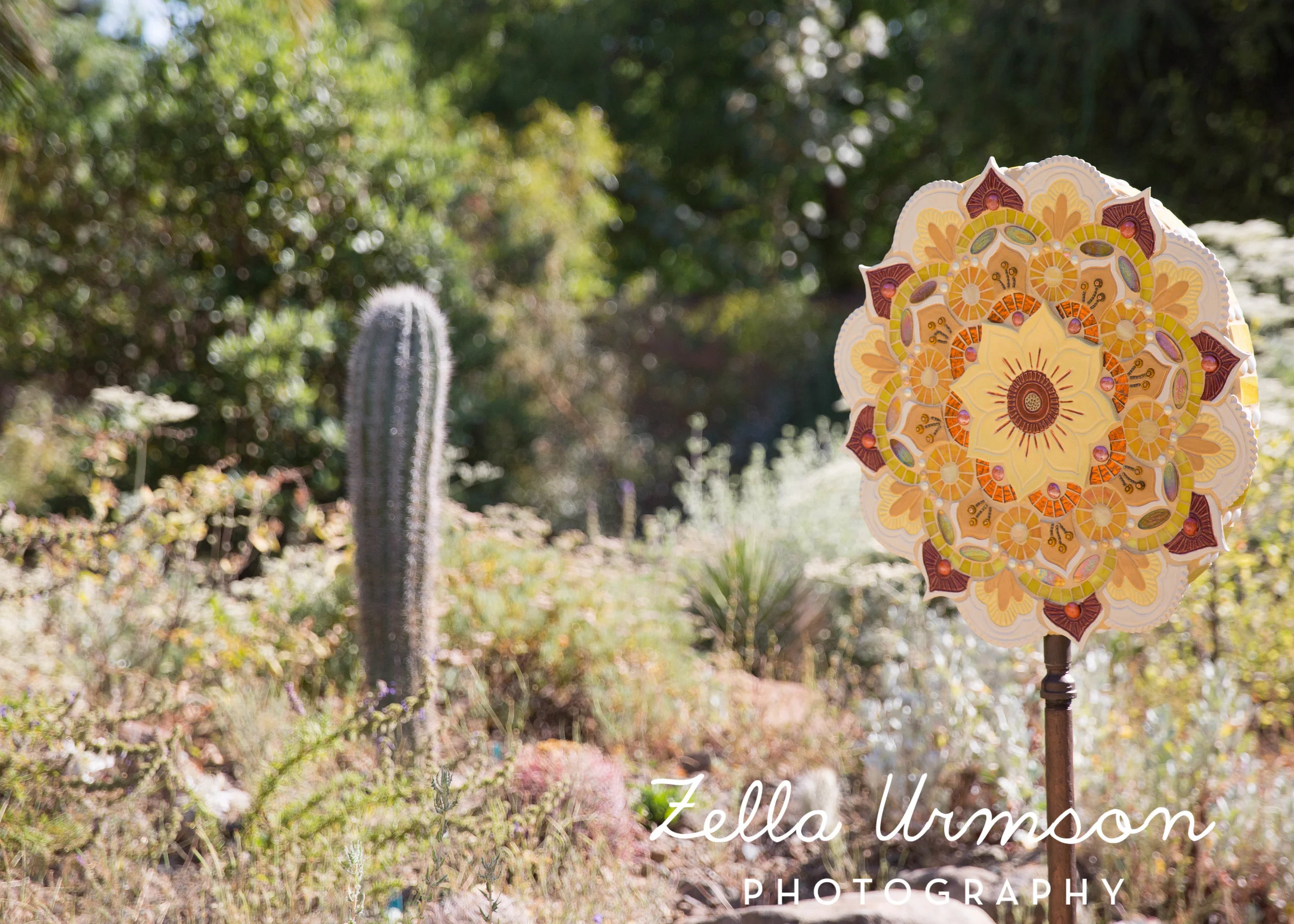 RBGSS7.1.17 w ZUP -12.JPG