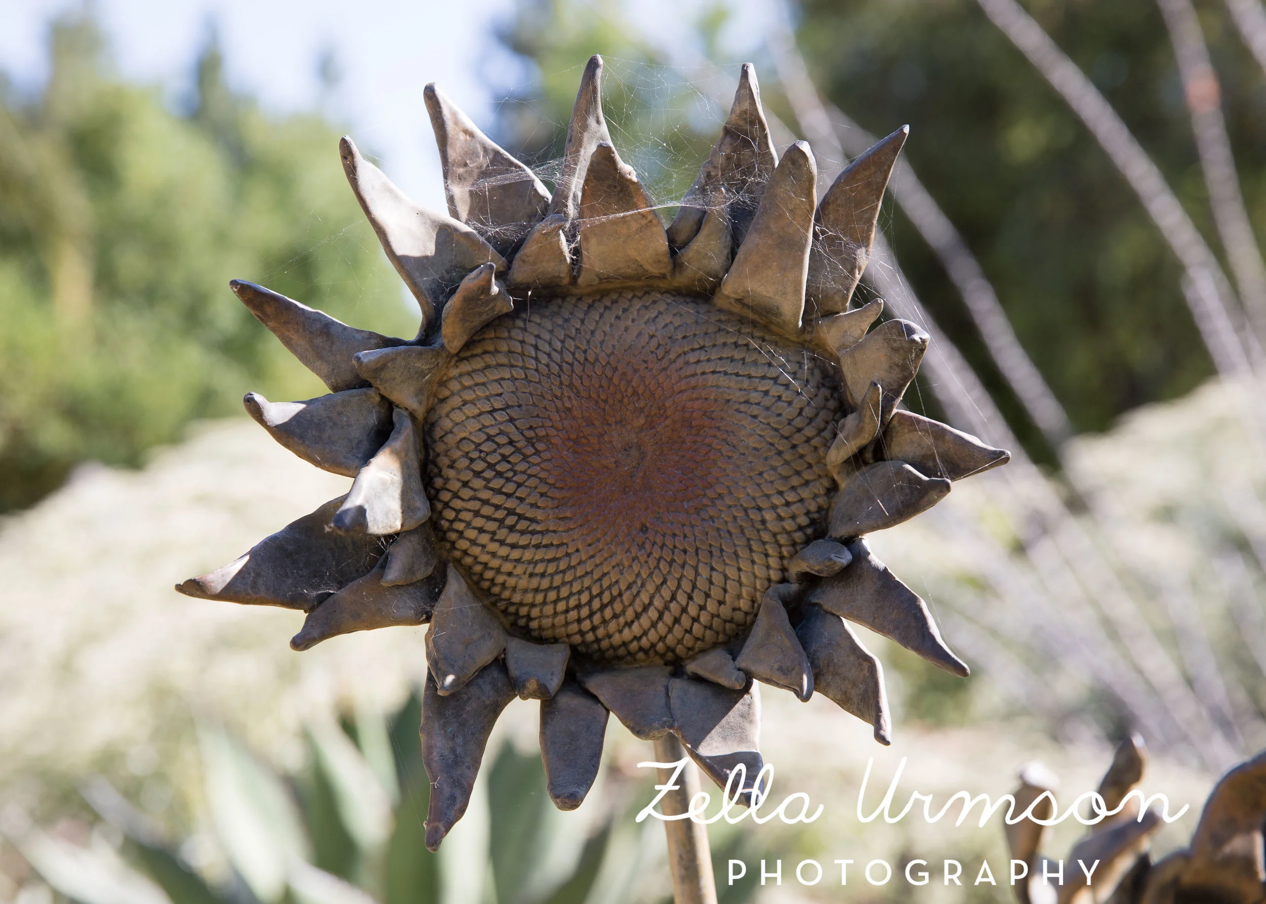 RBGSS7.1.17 w ZUP -17.JPG