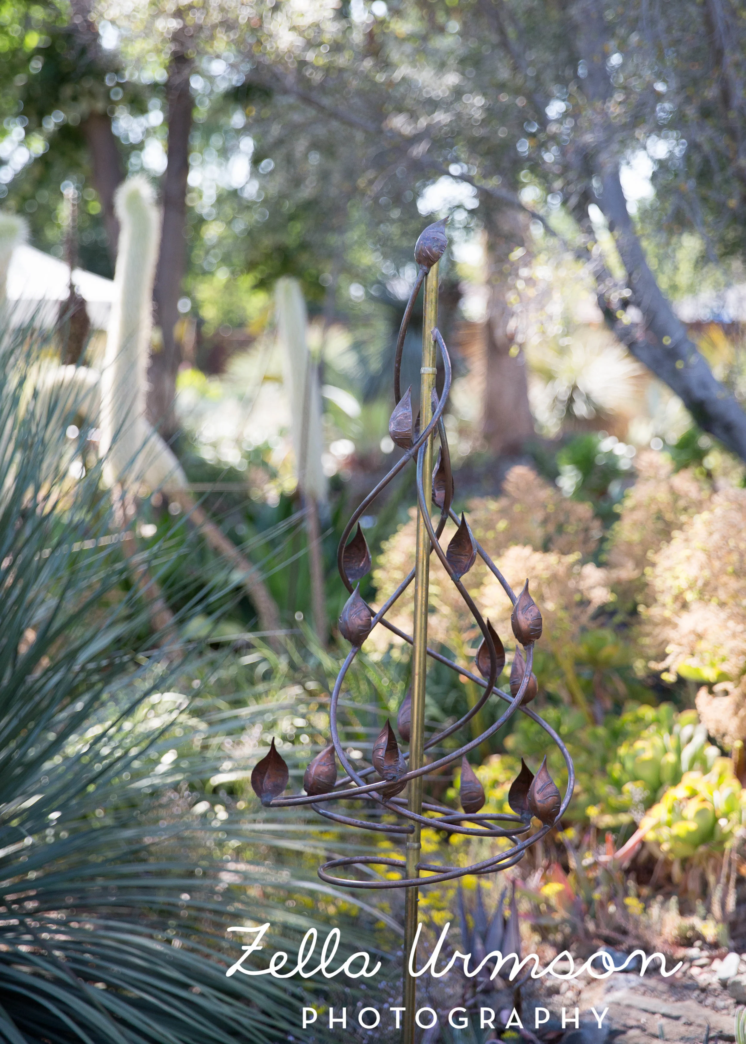 RBGSS7.1.17 w ZUP -52.JPG