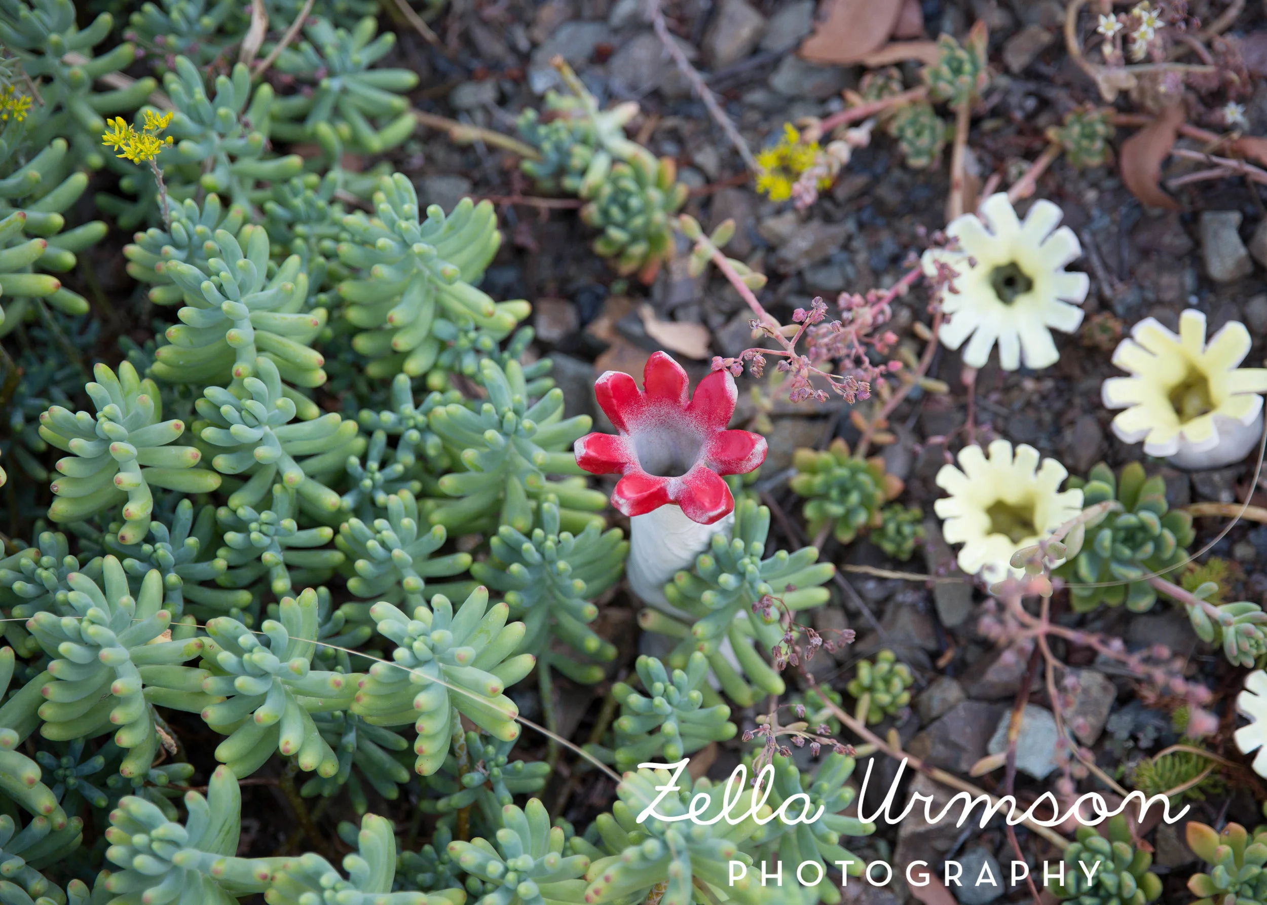 RBGSS7.1.17 w ZUP -63.JPG