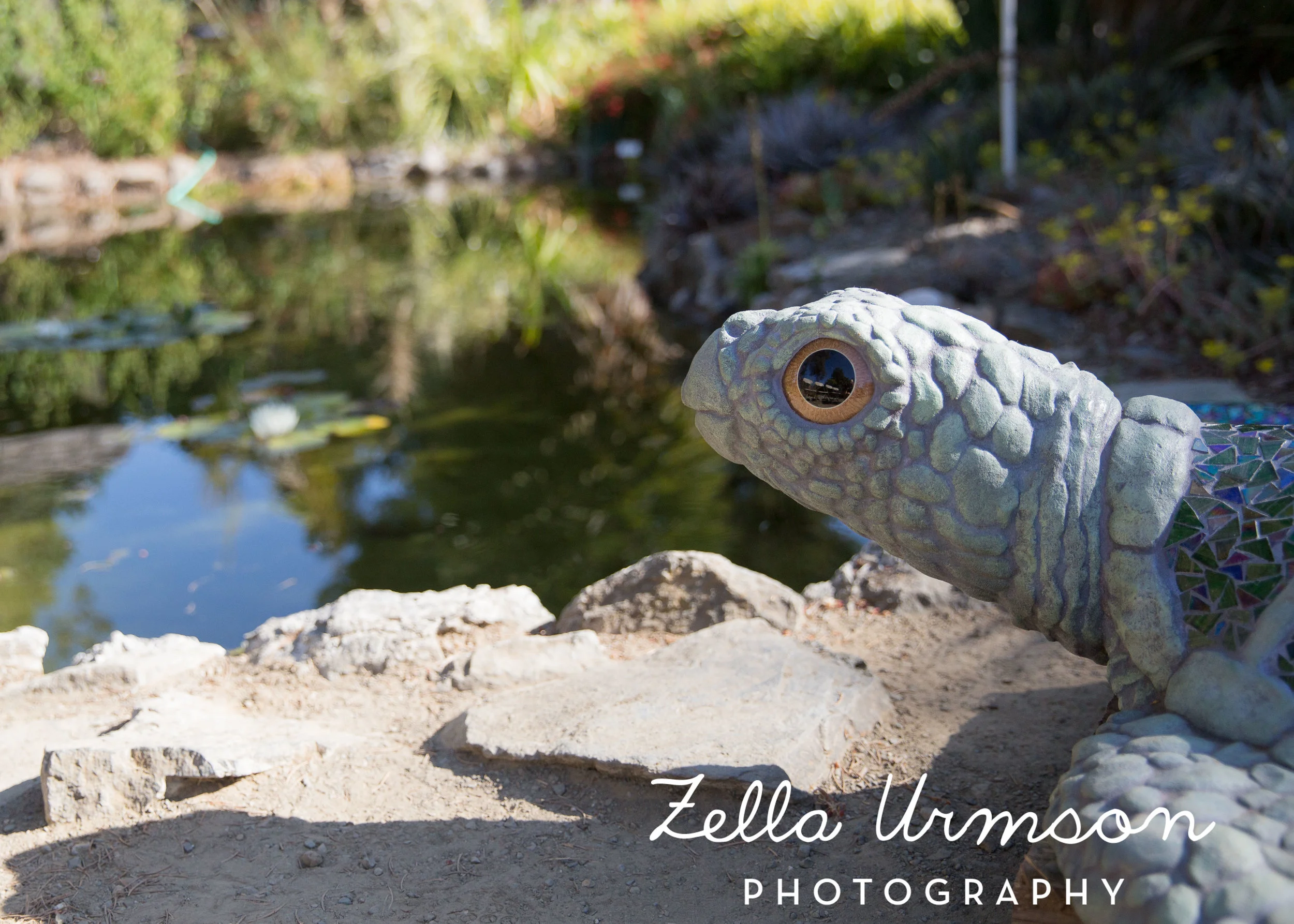 RBGSS7.1.17 w ZUP -91.JPG