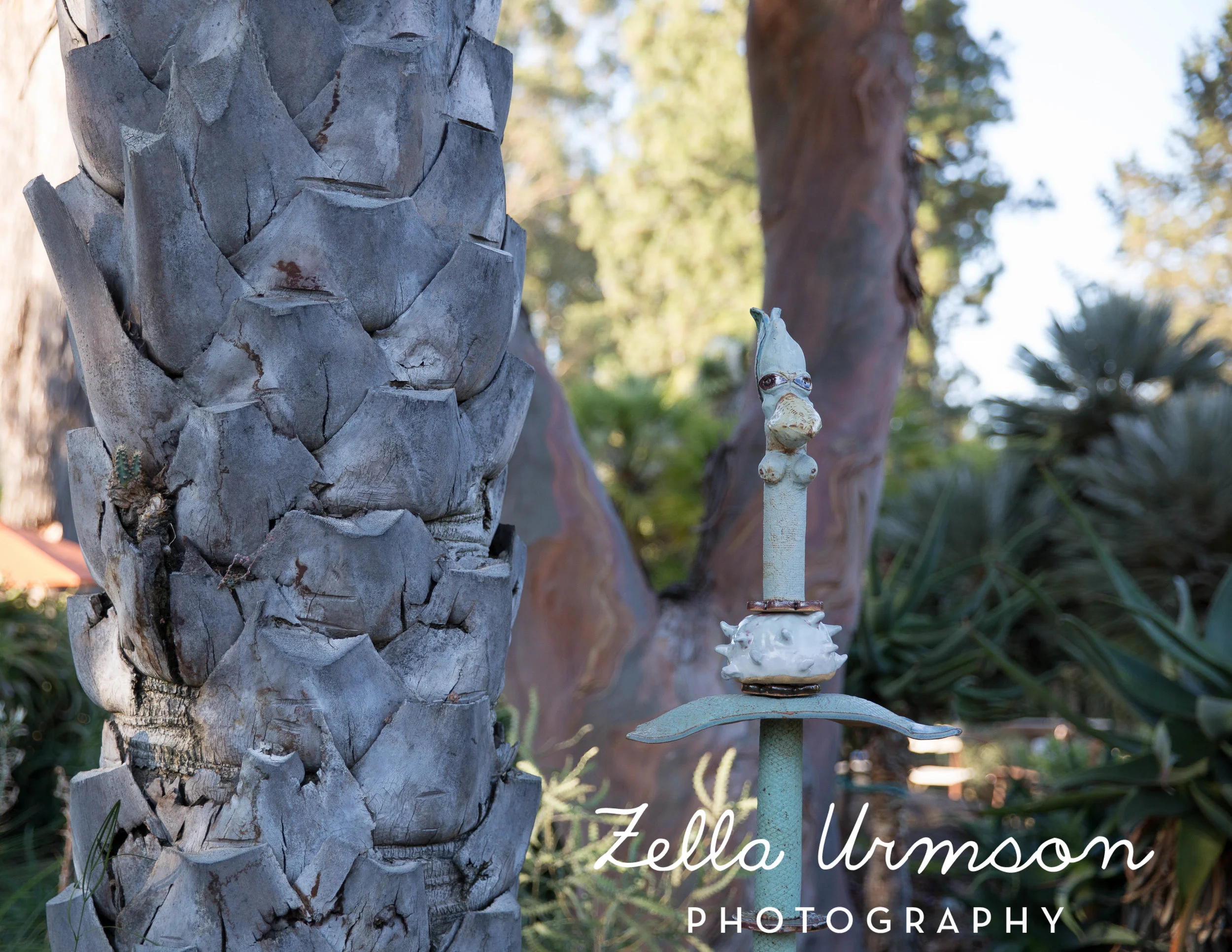 RBGSS7.1.17 w ZUP -167.JPG