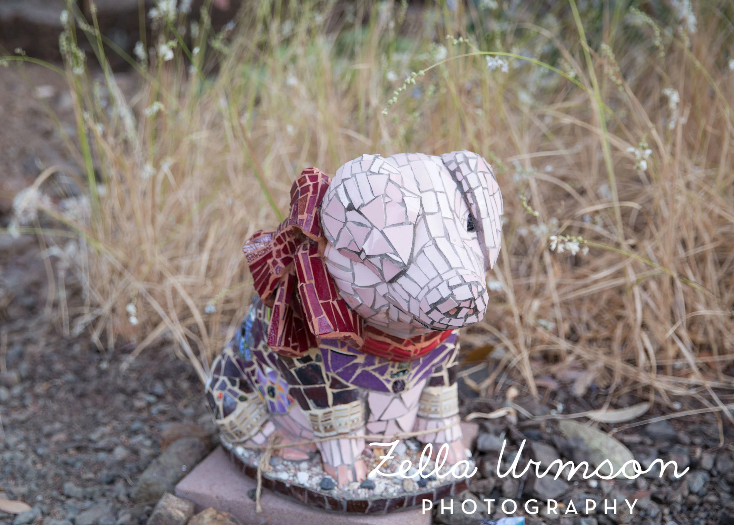 RBGSS7.1.17 w ZUP -245.JPG