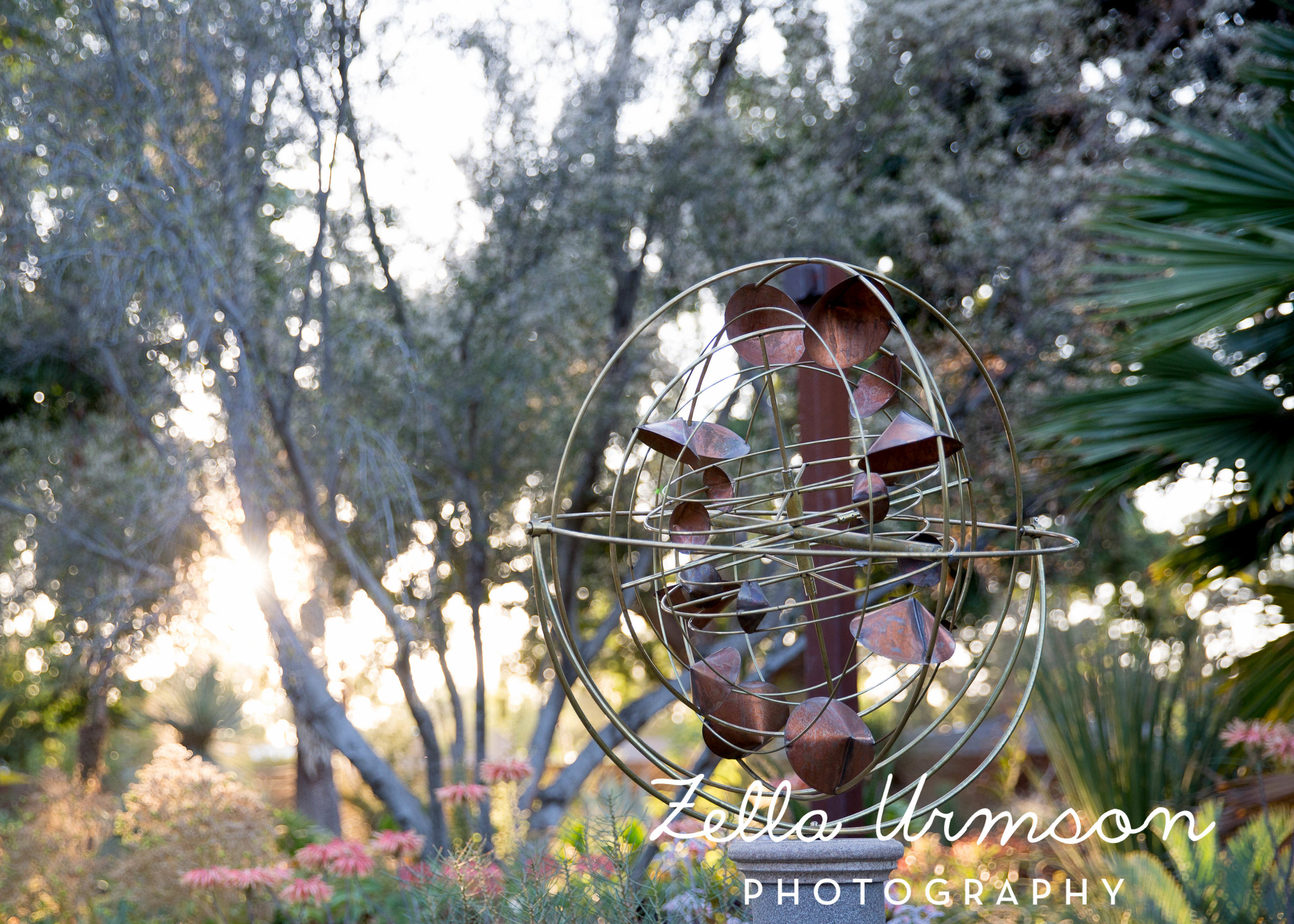 RBGSS7.1.17 w ZUP -268.JPG