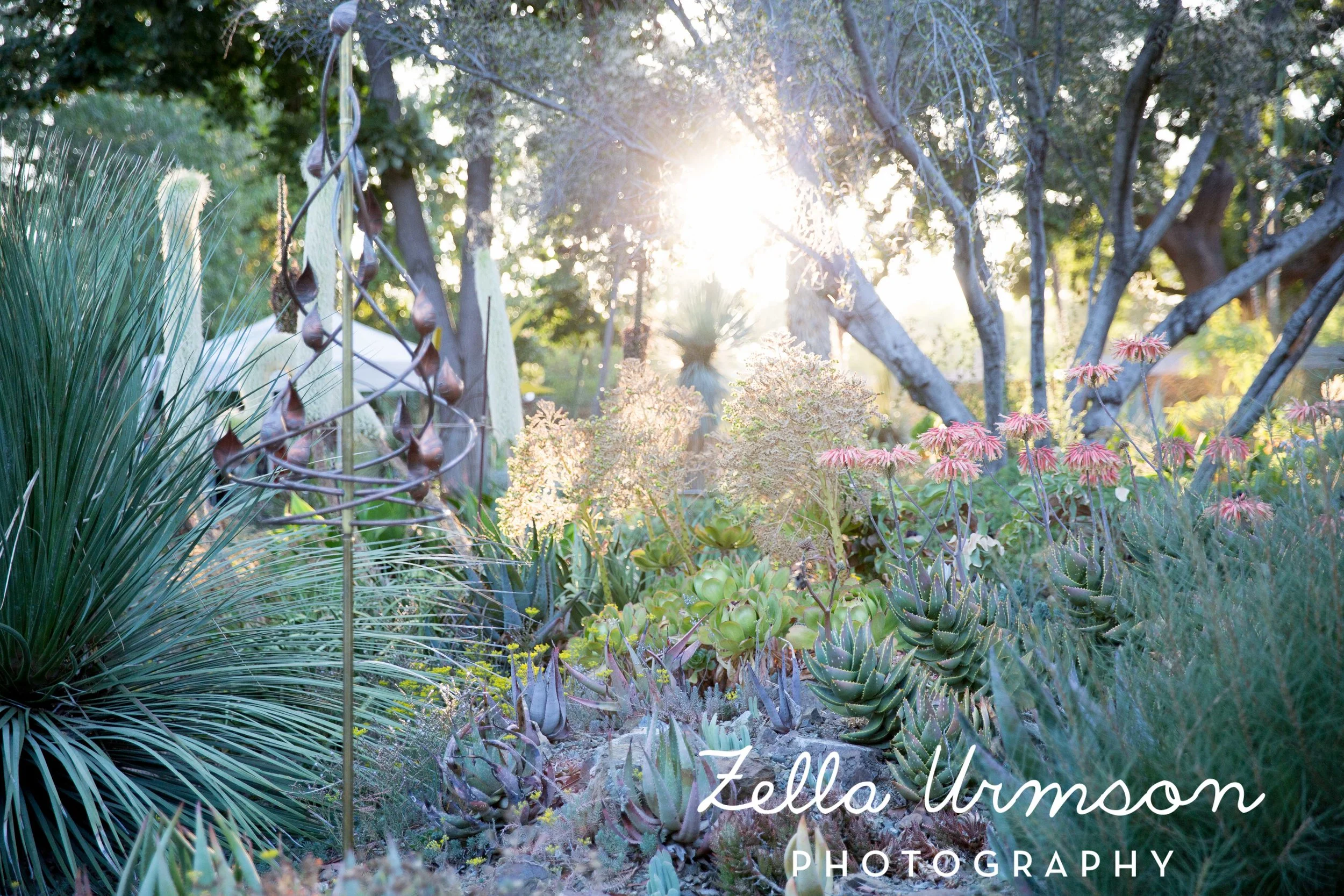 RBGSS7.1.17 w ZUP -269.JPG