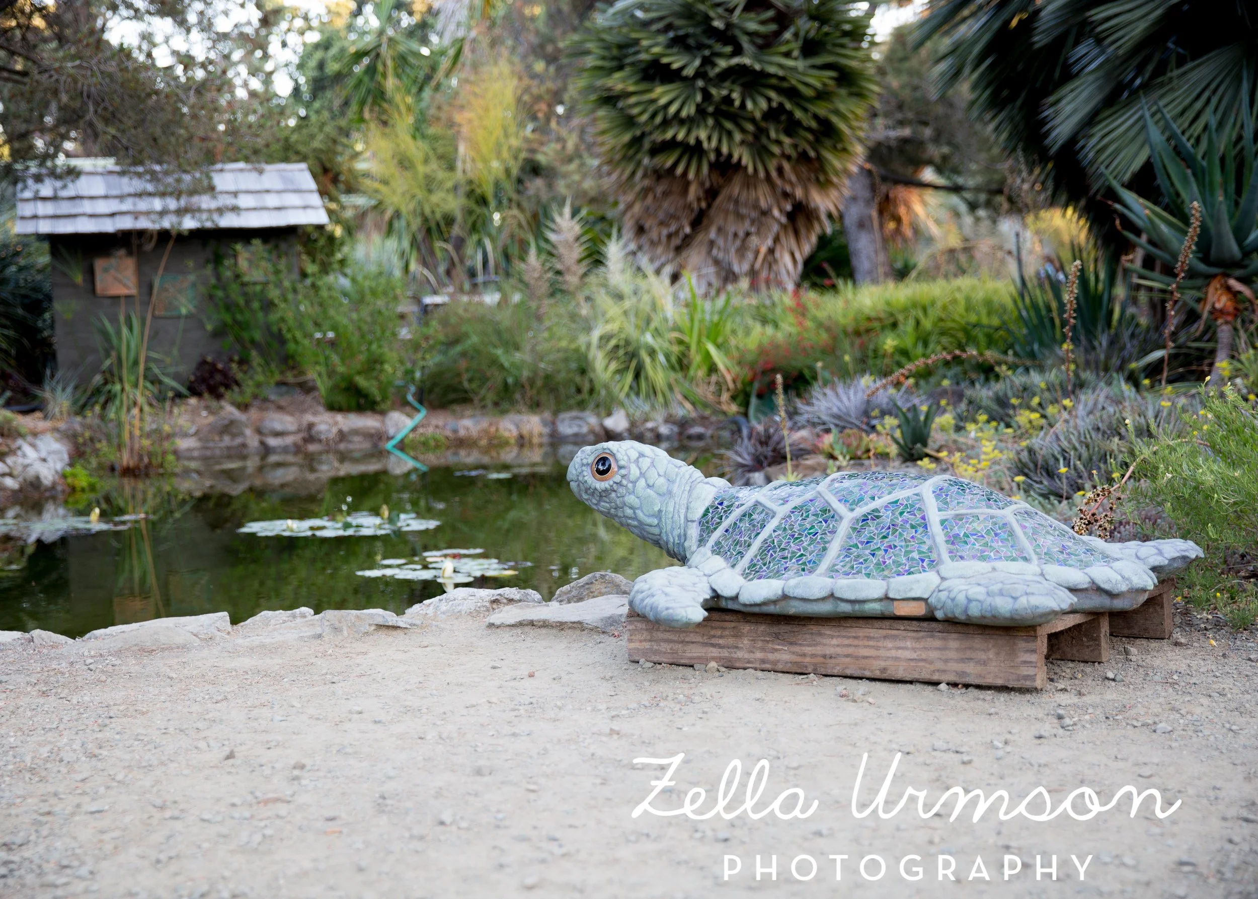 RBGSS7.1.17 w ZUP -276.JPG