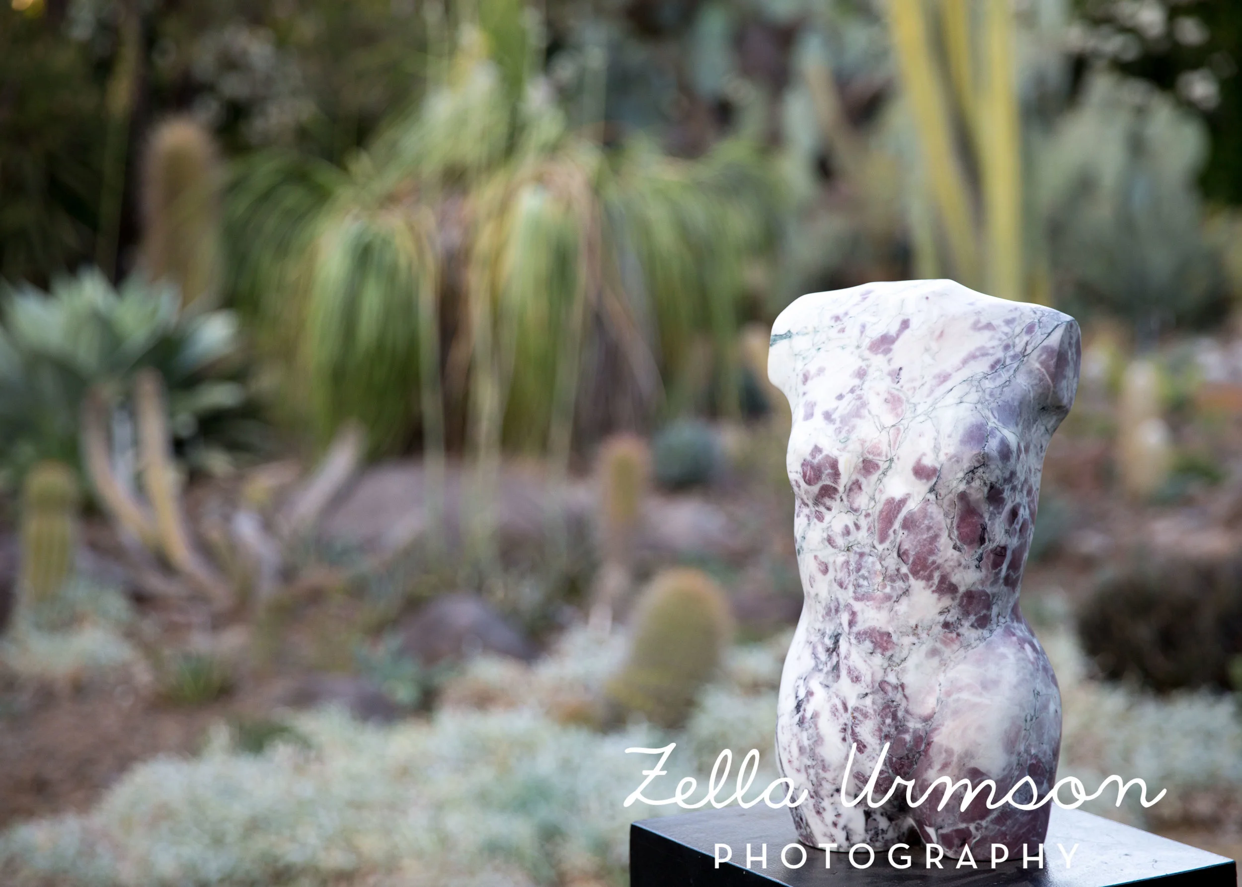 RBGSS7.1.17 w ZUP -277.JPG