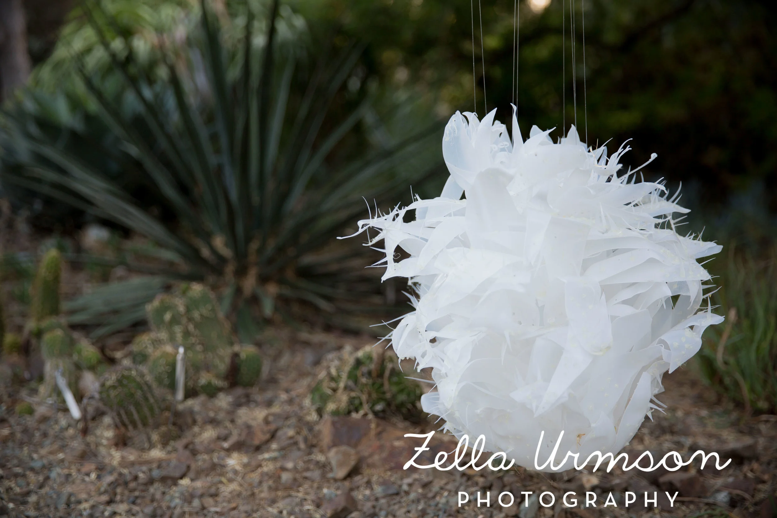 RBGSS7.1.17 w ZUP -278.JPG