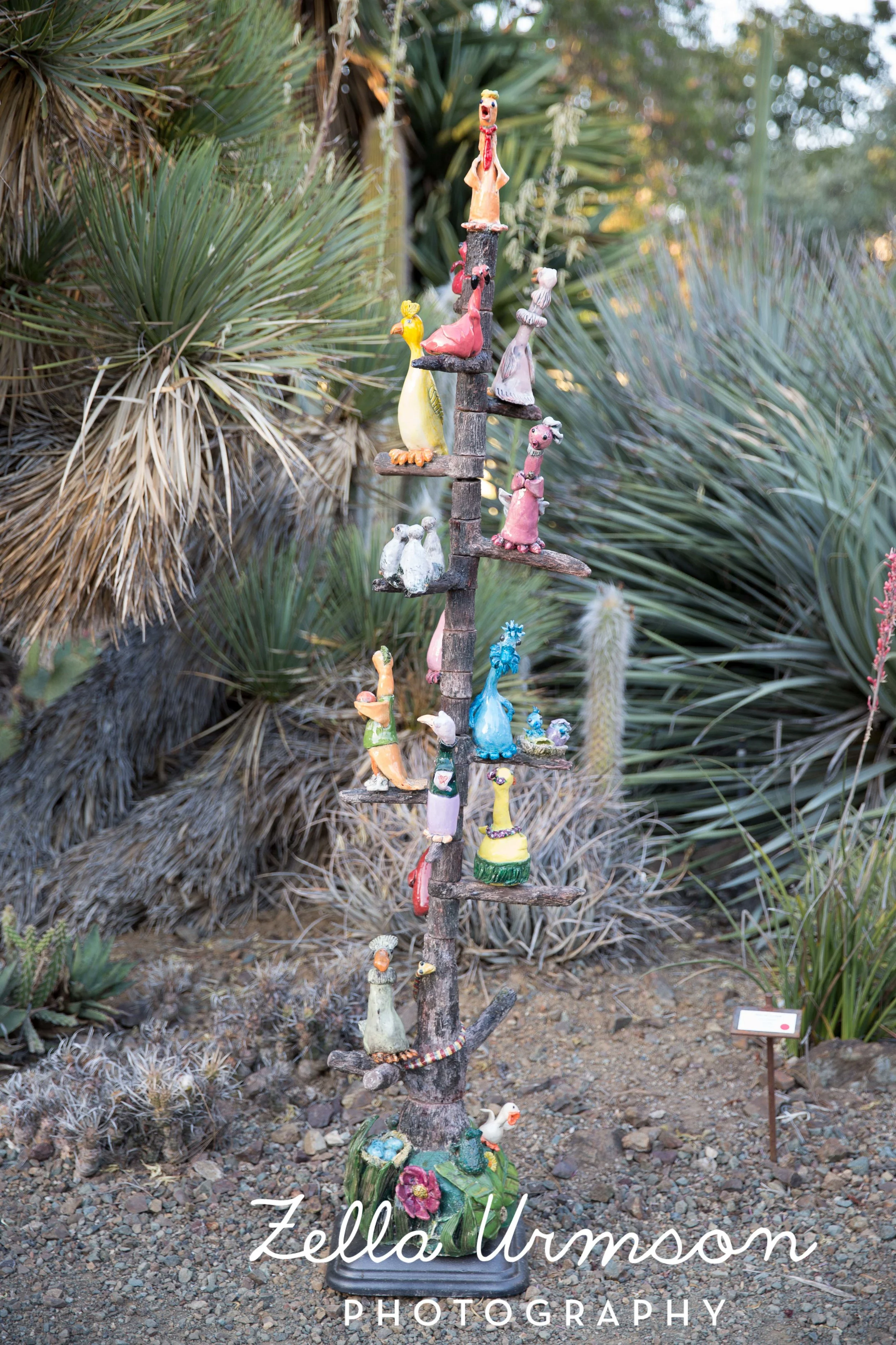 RBGSS7.1.17 w ZUP -279.JPG